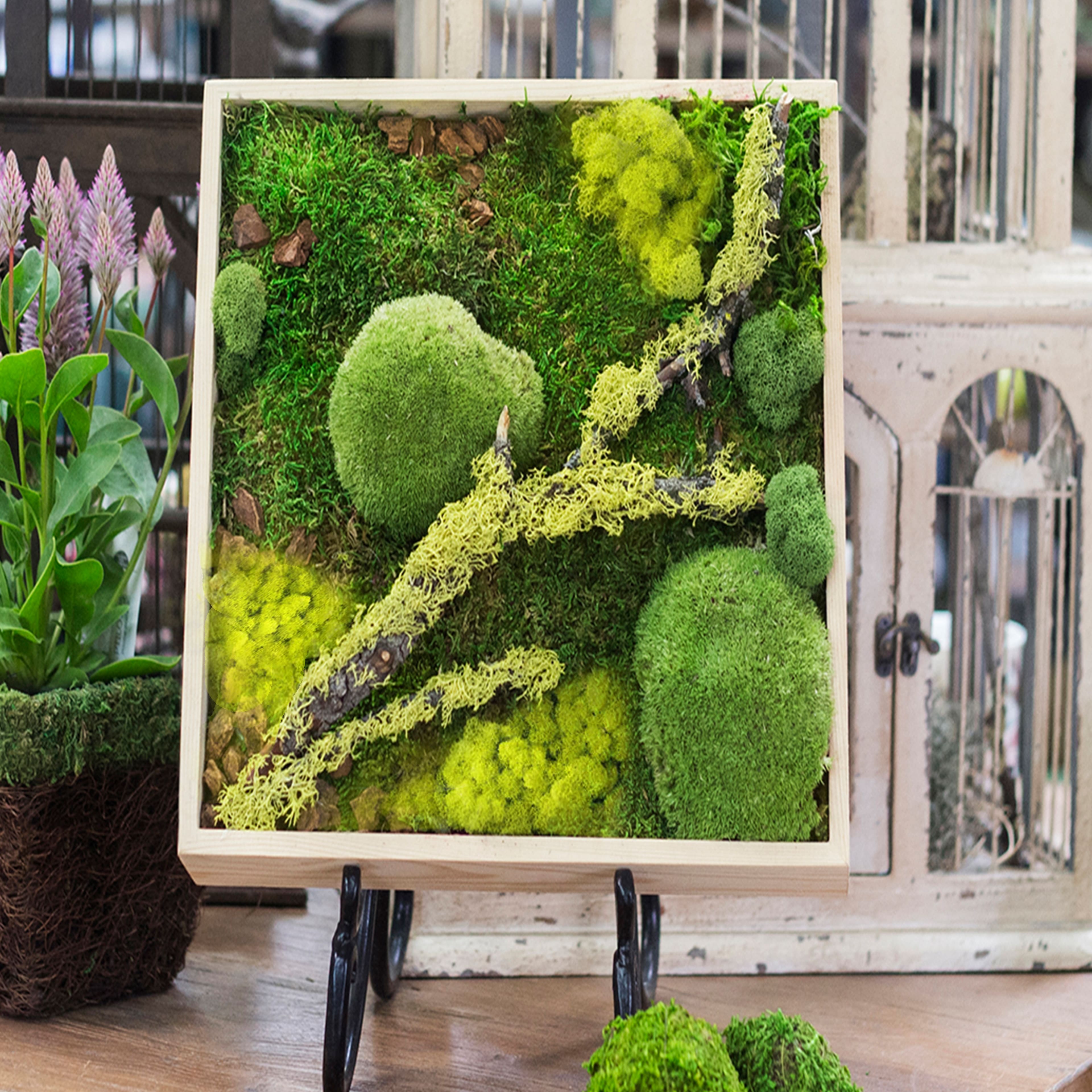 12 Pack: SuperMoss® All-Purpose Sticky Reindeer Moss Mat