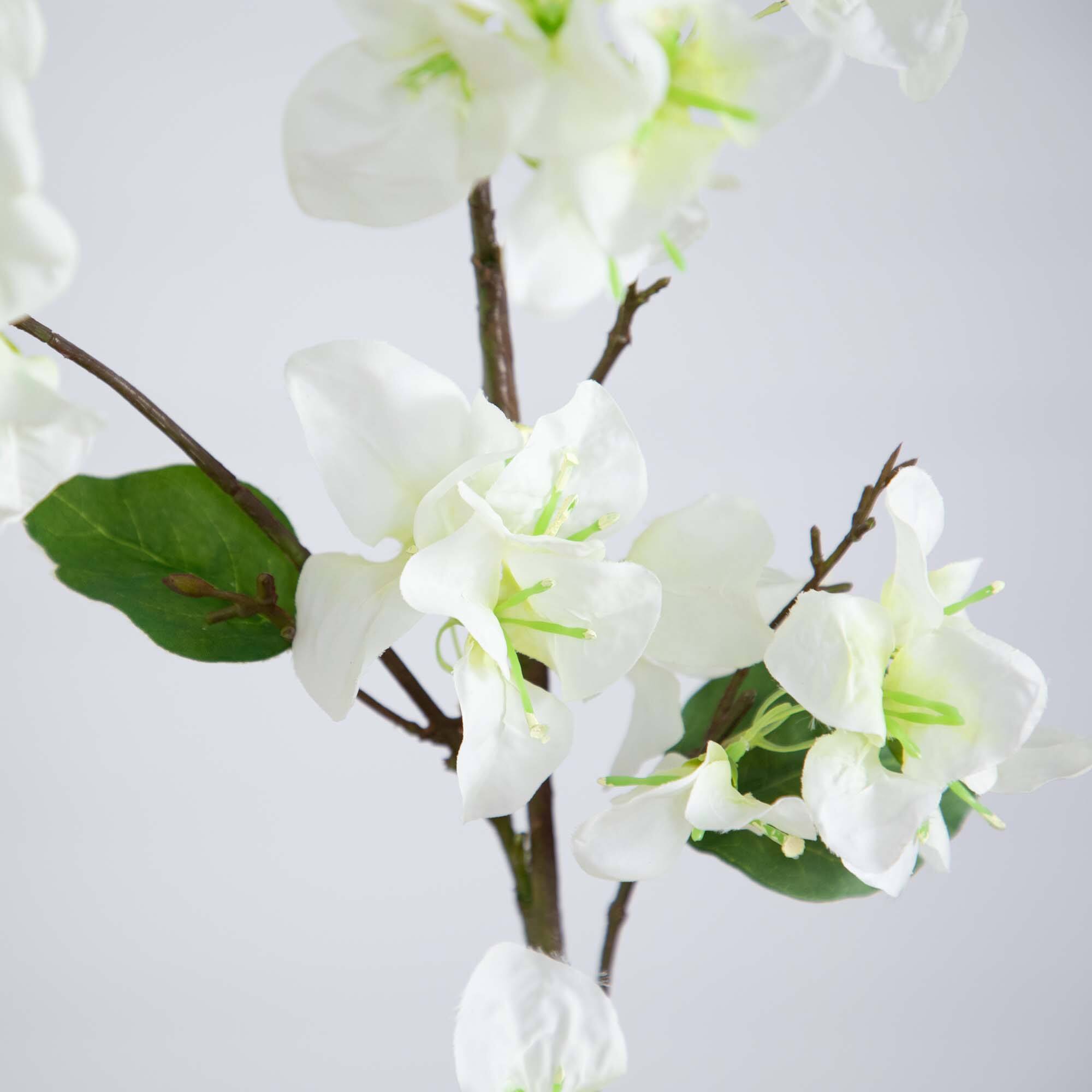 47" Cream Bougainvillea Flower Stems, 3ct.