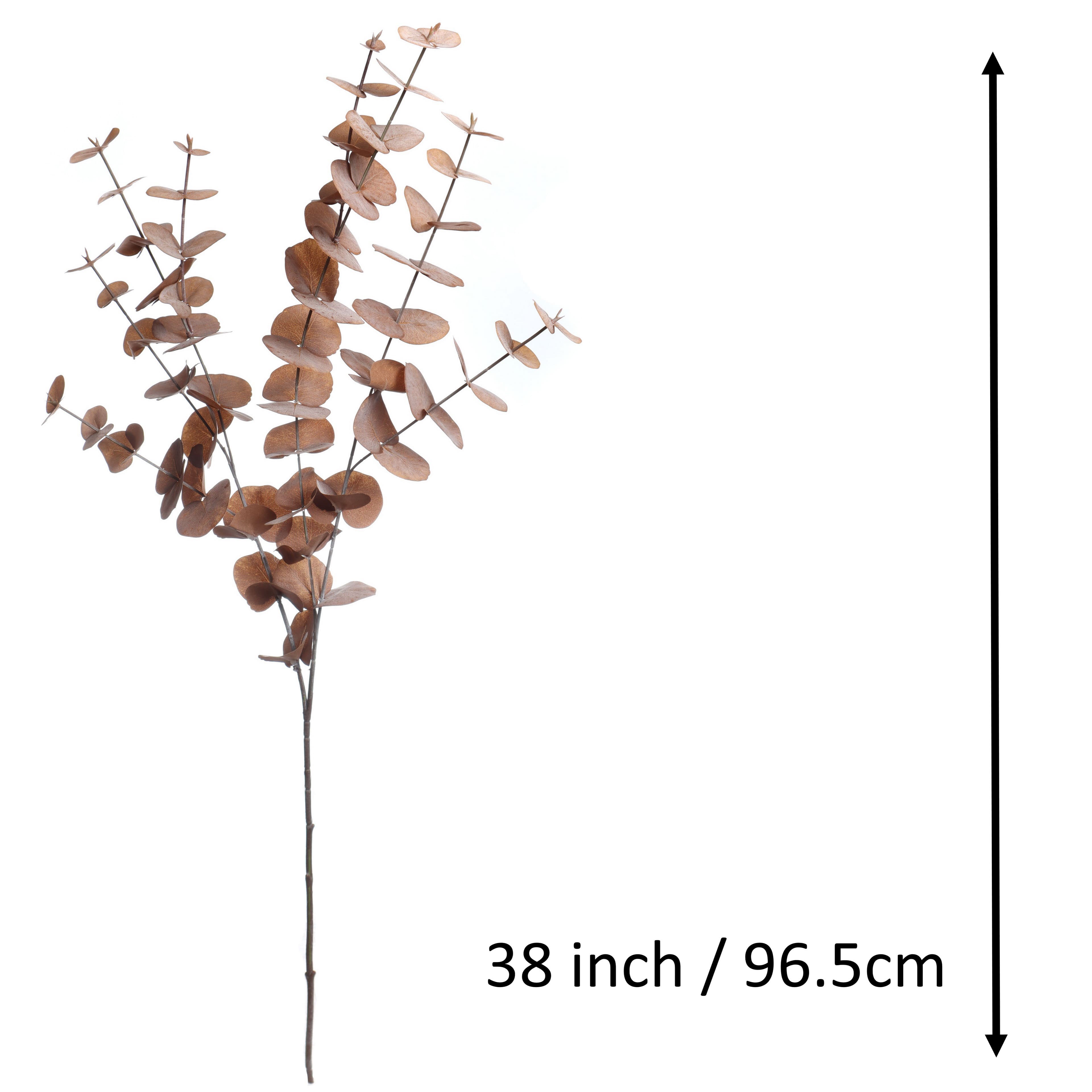 38" Brown Eucalyptus Stem by Ashland®