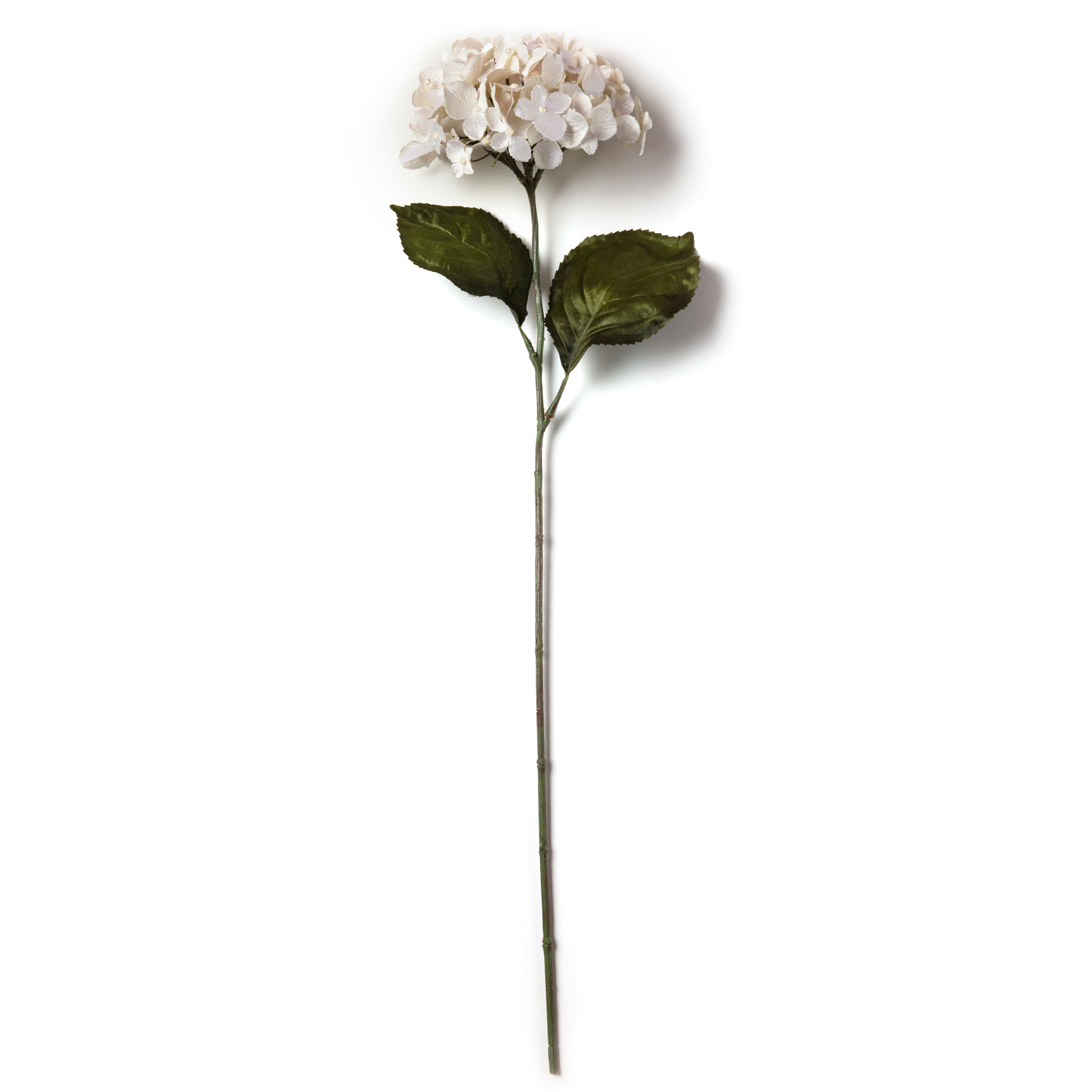 Pearl Hydrangea Stem by Ashland®