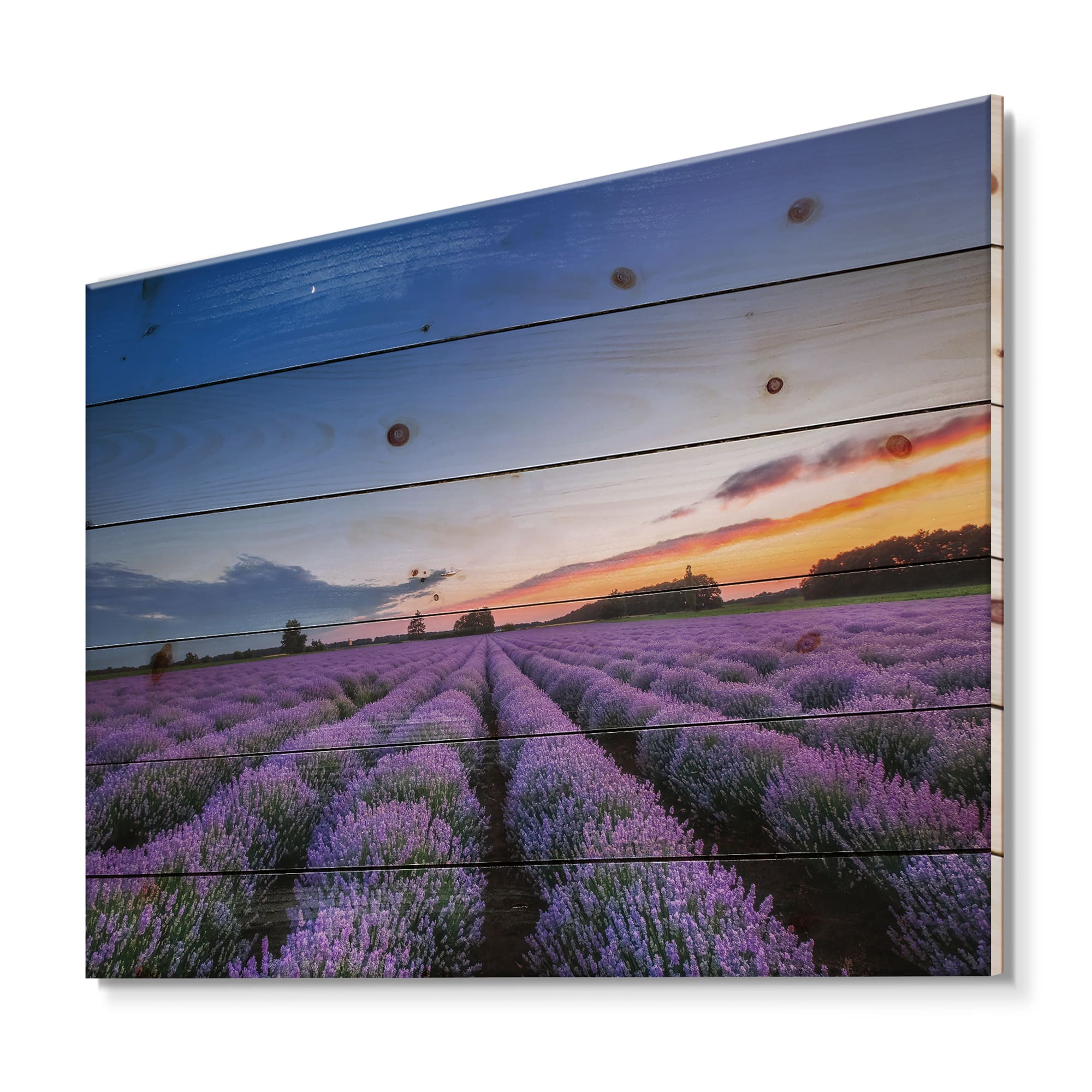 Designart - Sunrise & Dramatic Clouds Over Lavender Field I - Farmhouse Print on Natural Pine Wood
