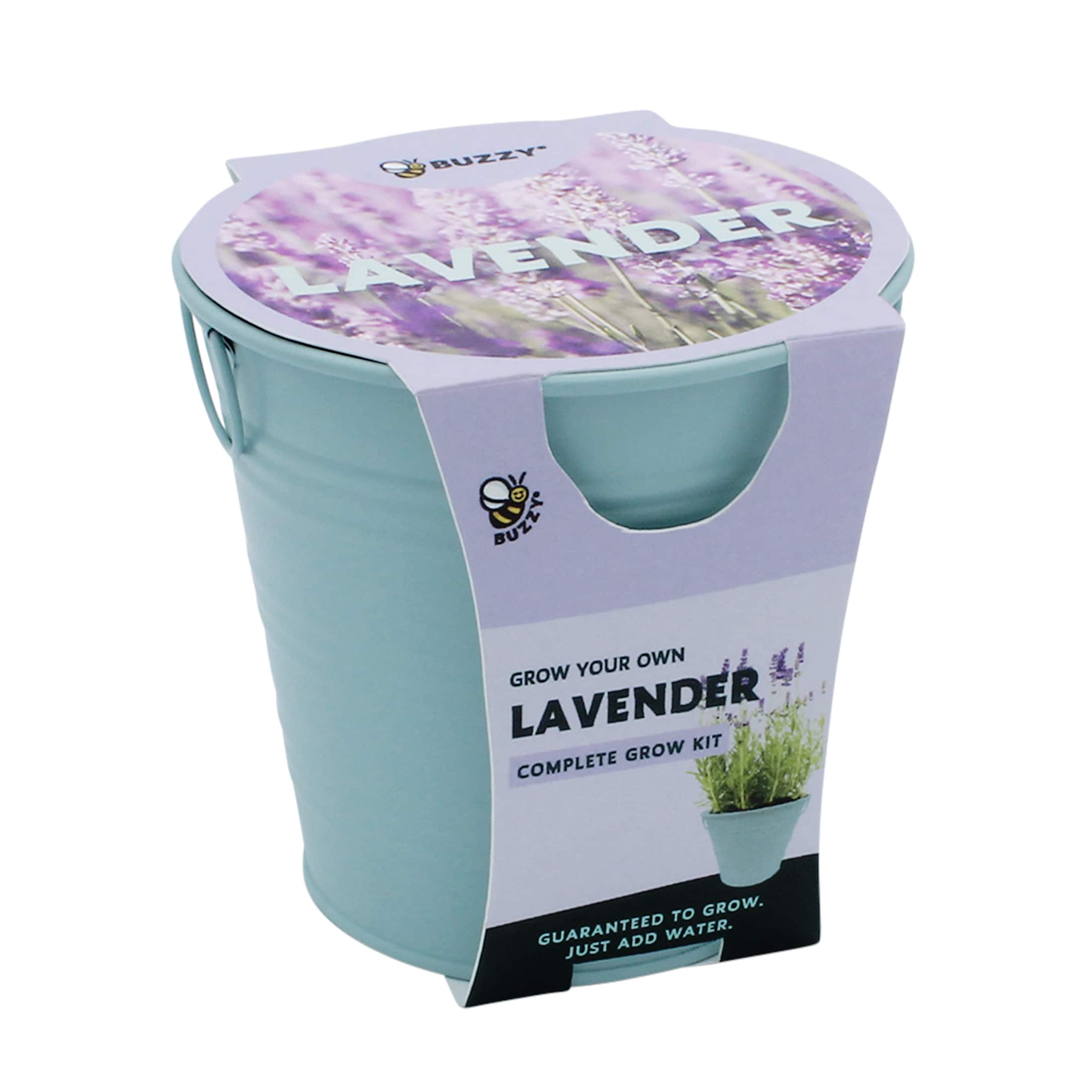 Buzzy® Lavender Pail Complete Grow Kit