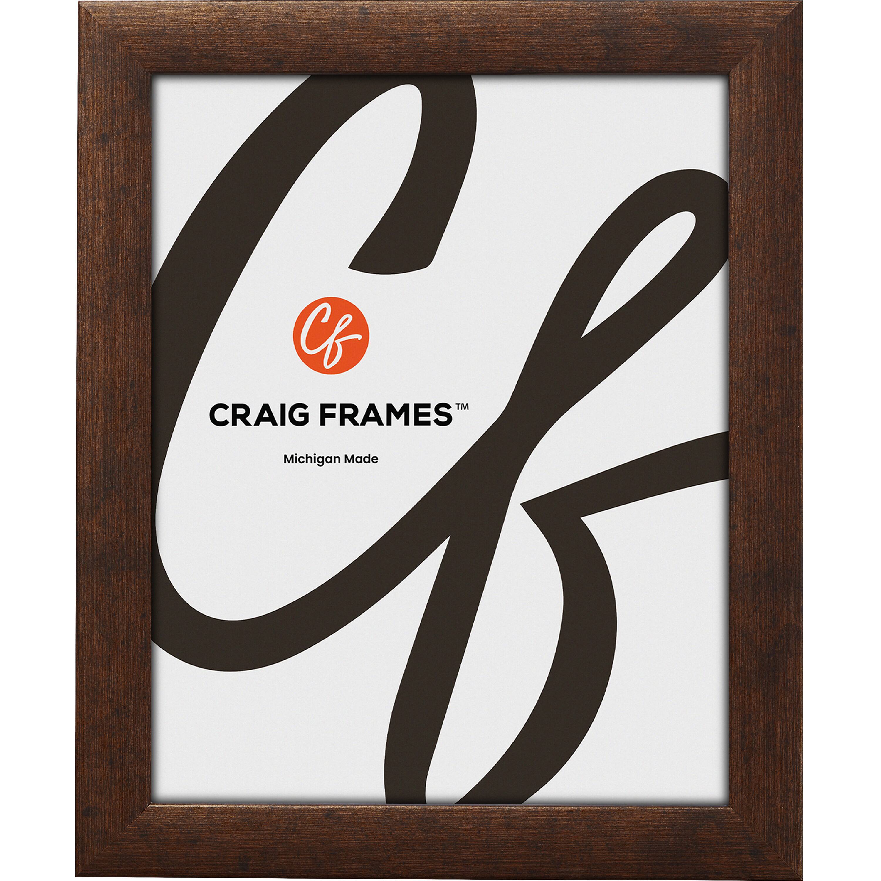2 Pack Craig Frames Contemporary Rustic Copper Picture Frame