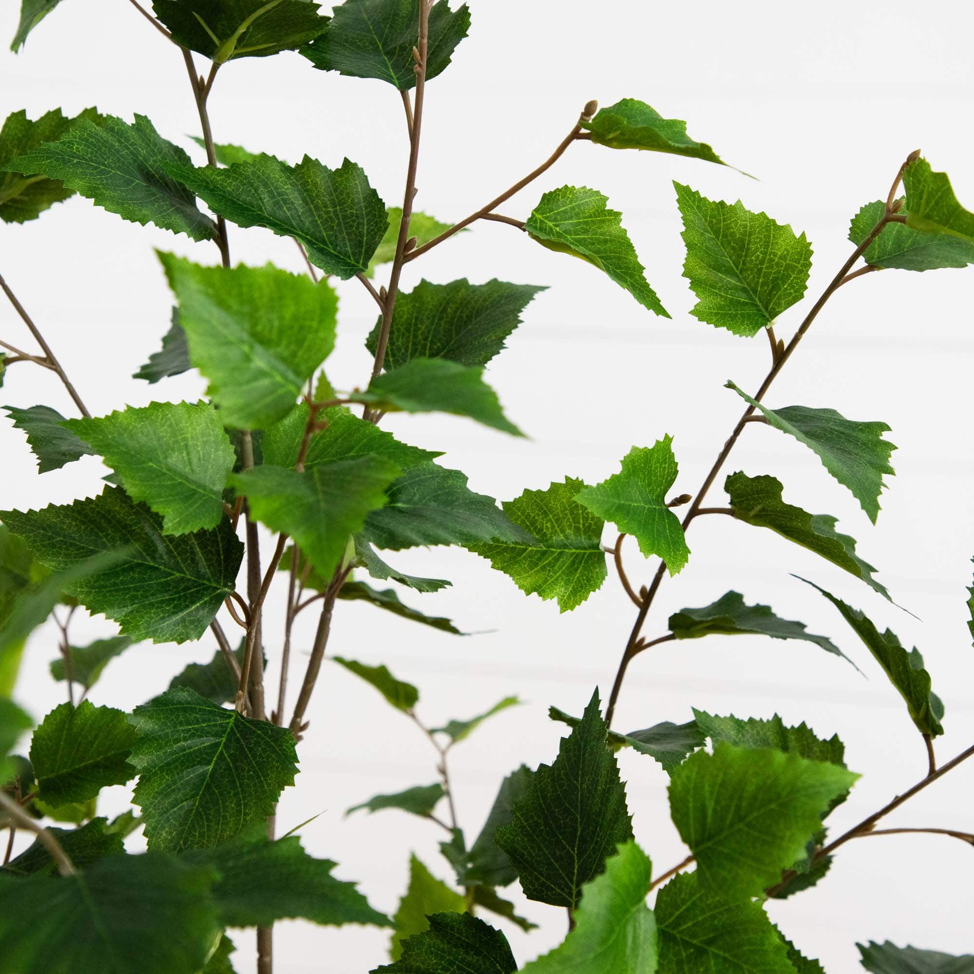 5ft. Potted Green Artificial Birch Tree with Real Touch Leaves
