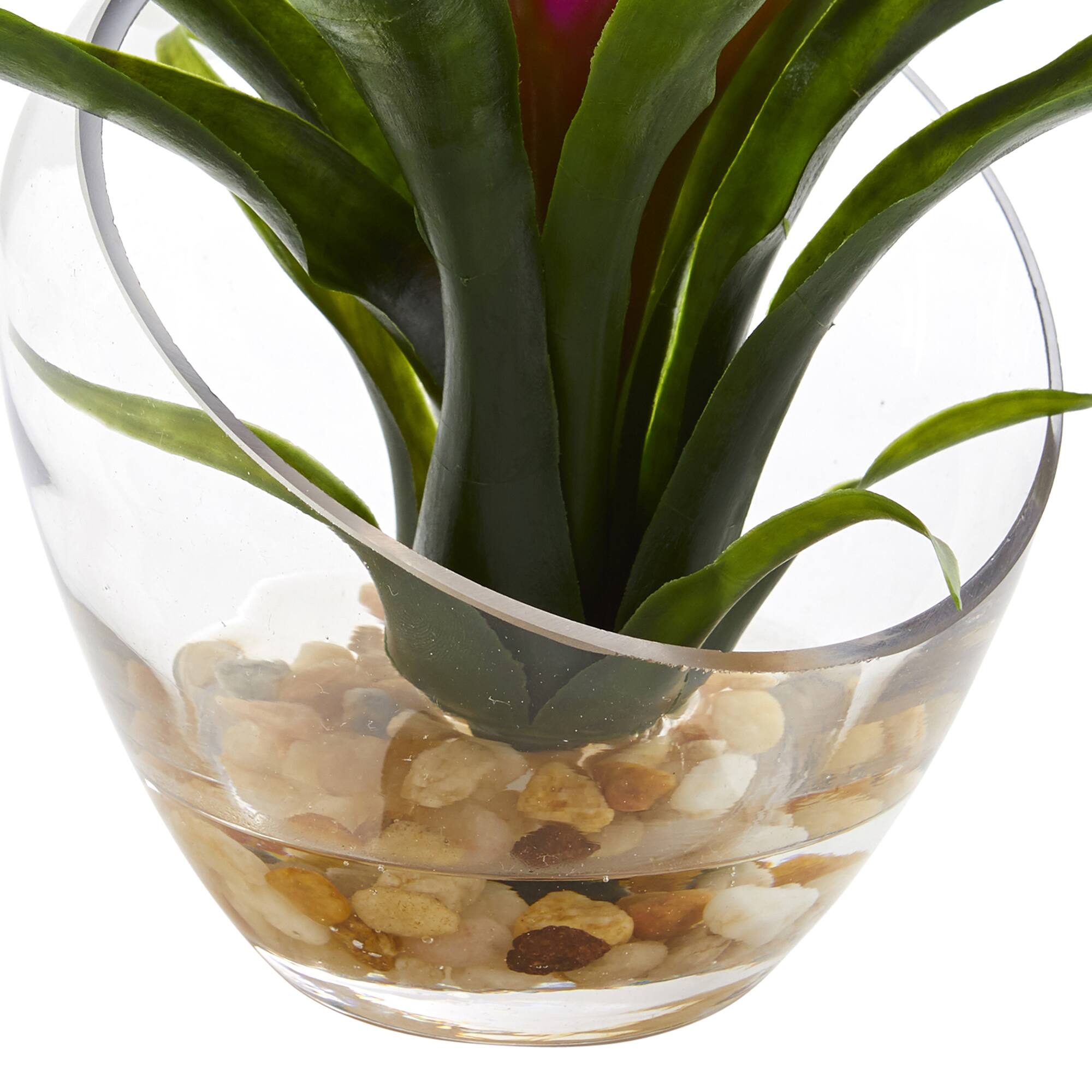 8" Purple Tropical Bromeliad Arrangement in Angled Vase