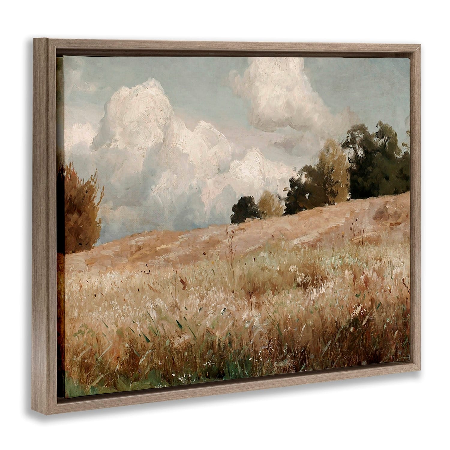 Stupell Industries Classic Cloudy Field Landscape Floater Framed Art