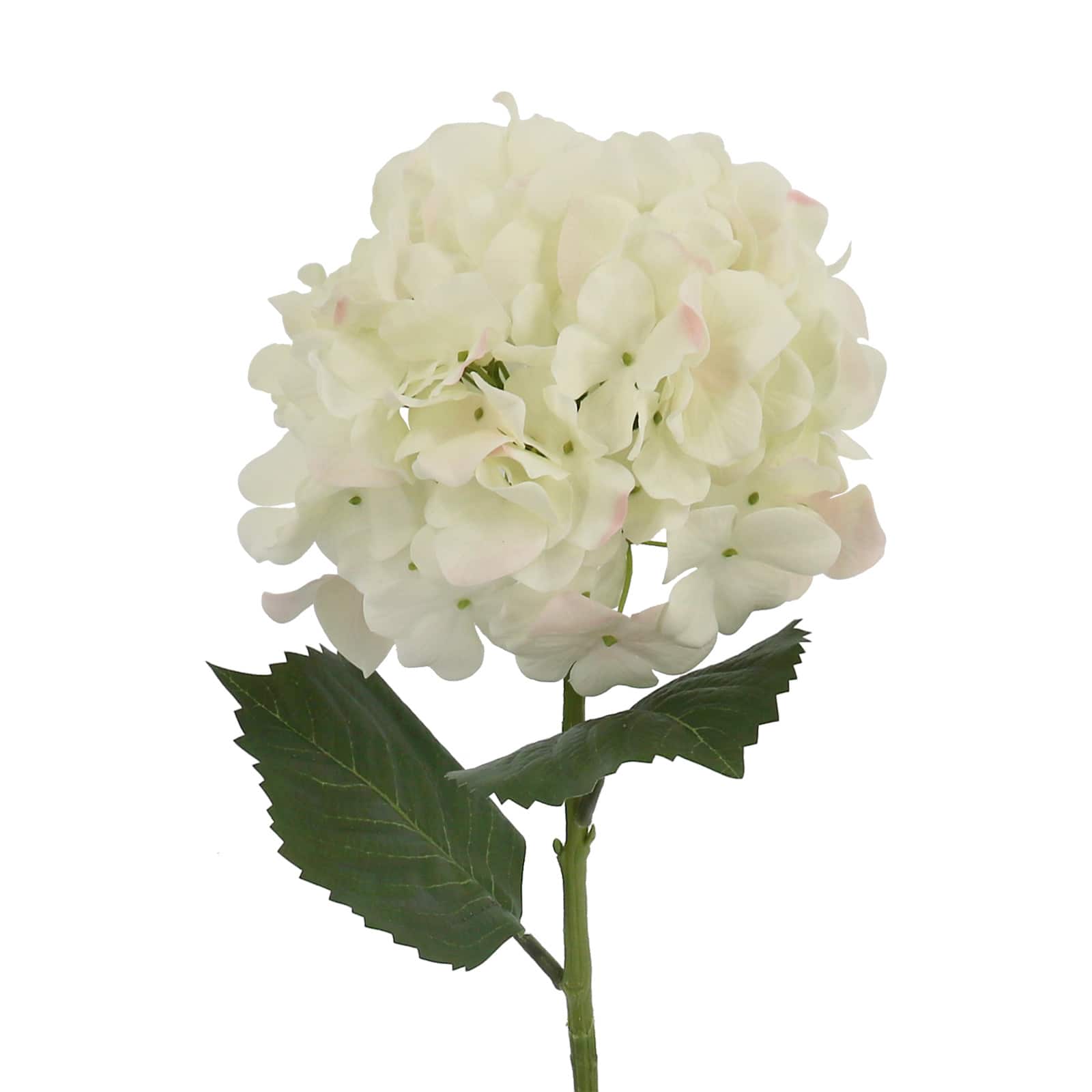 30" Hydrangea Real Touch Stem by Ashland