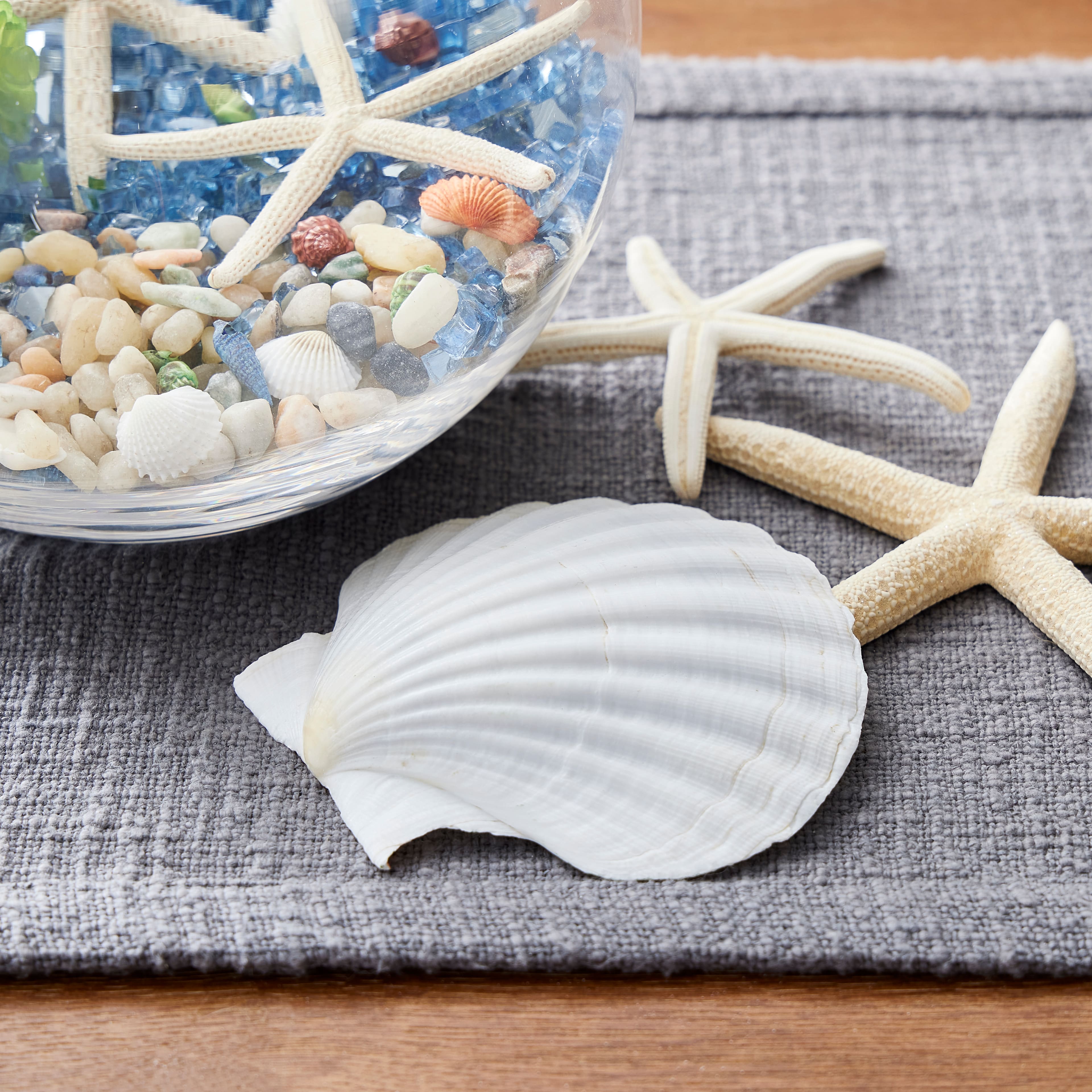 U.S. Shell Irish Deep Shell