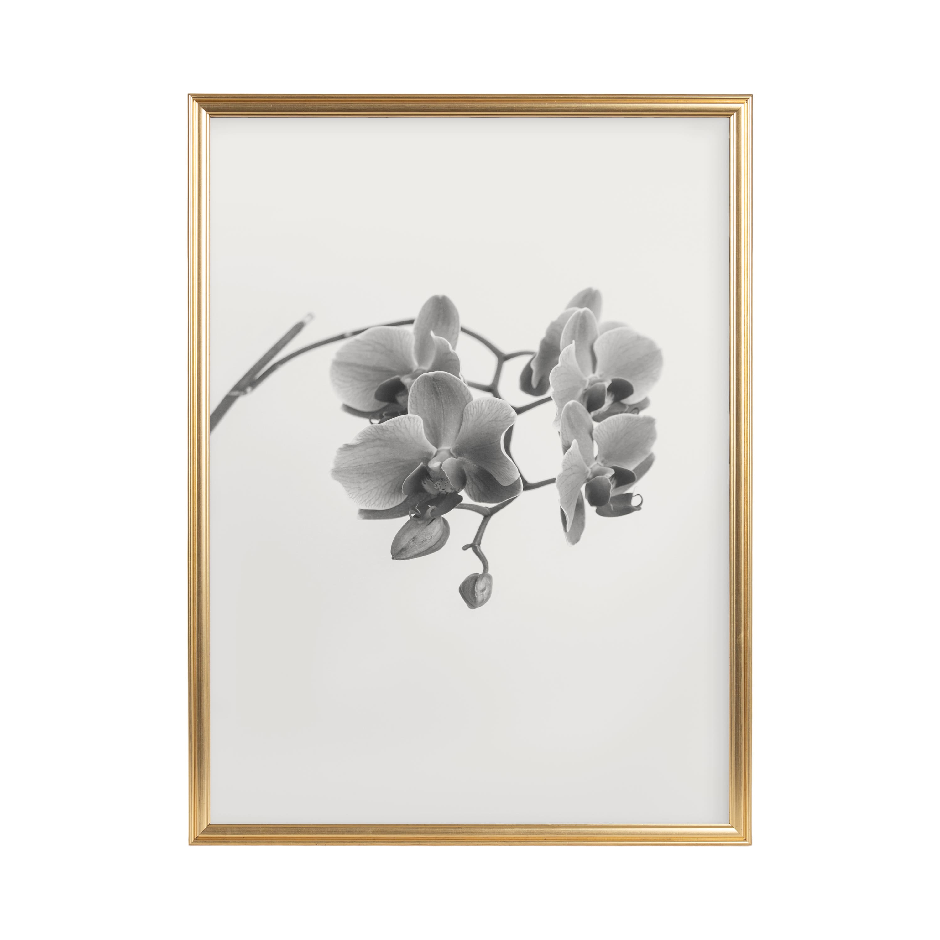 Kate and Laurel Adlynn 18" x 24" Plastic Poster Frame