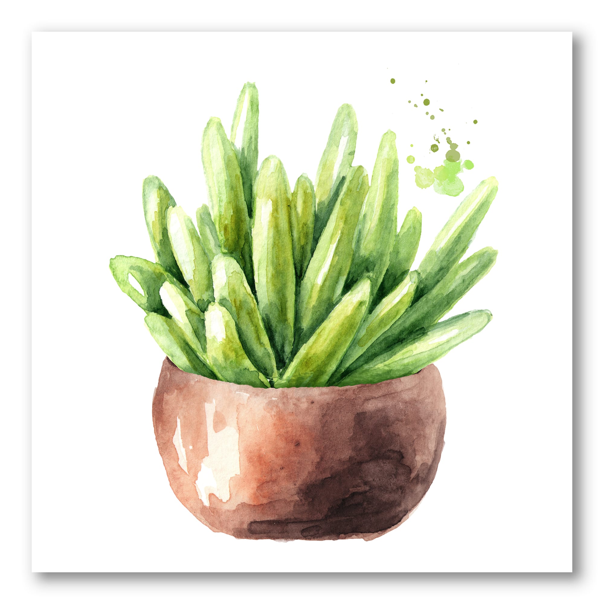 Designart - Succulent Flower In Terracotta Pot I - Traditional Canvas Wall Art Print