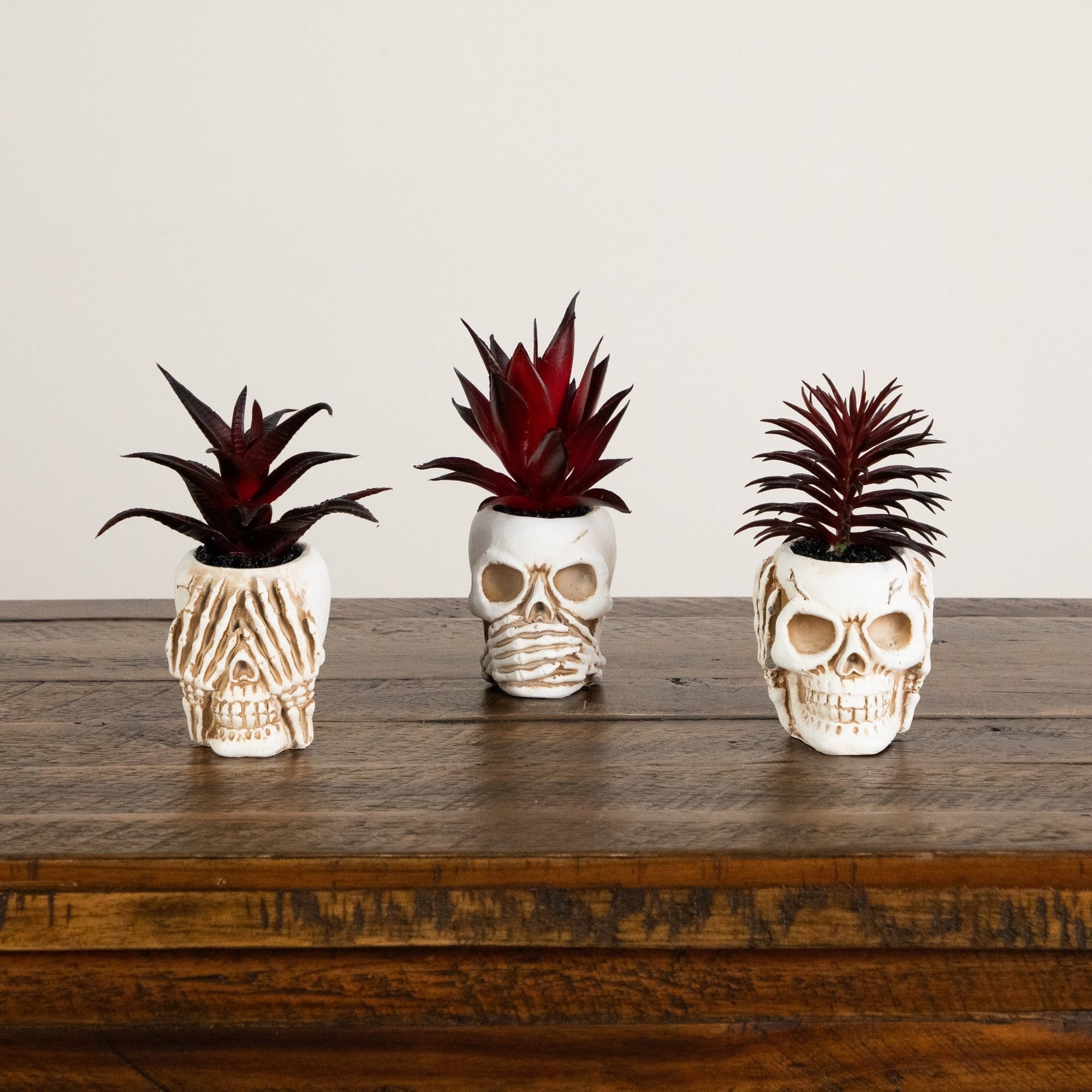 6" Artificial Halloween Speak, Hear, See No Evil Succulent Plant Skull Décor Set