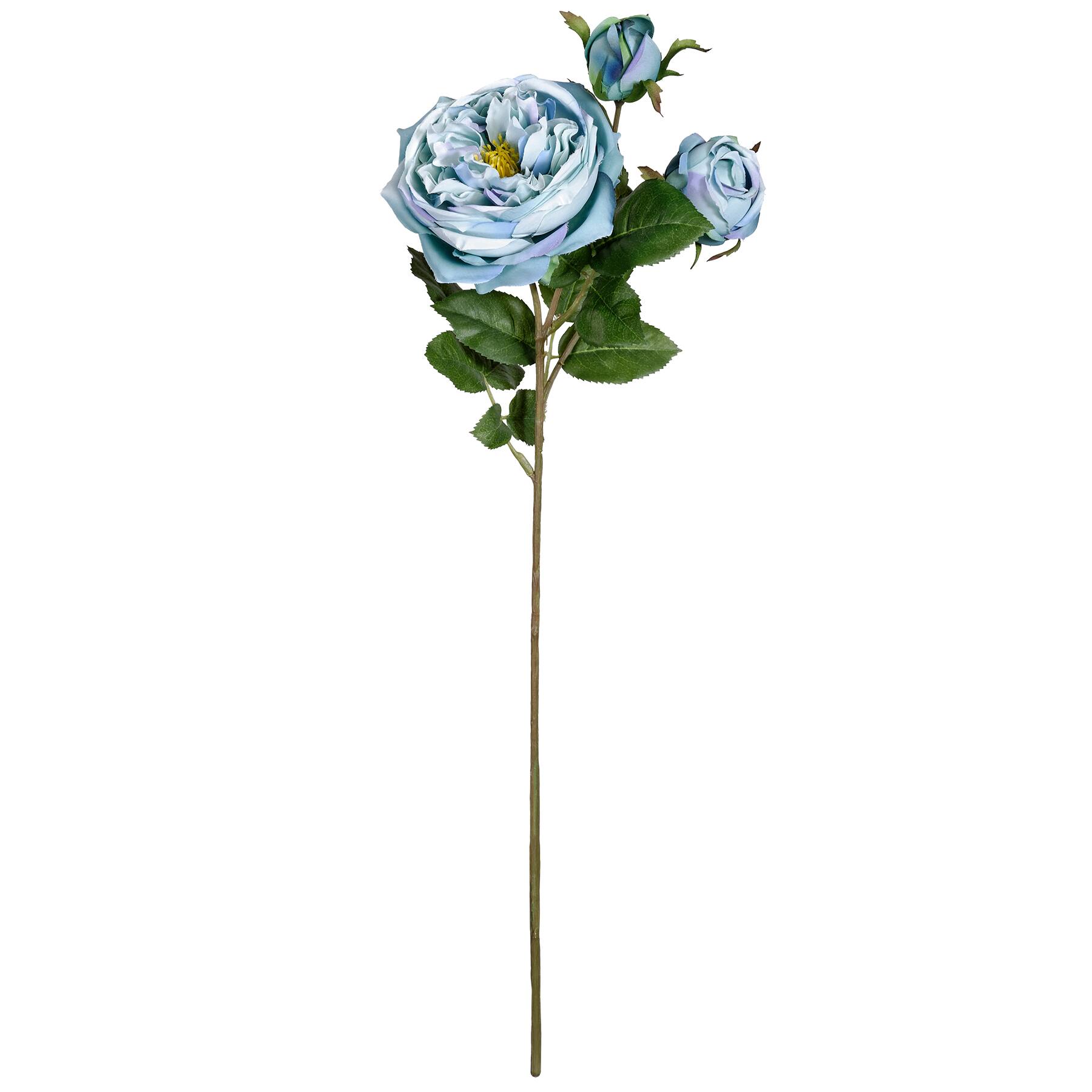 Teal English Rose Stem by Ashland®