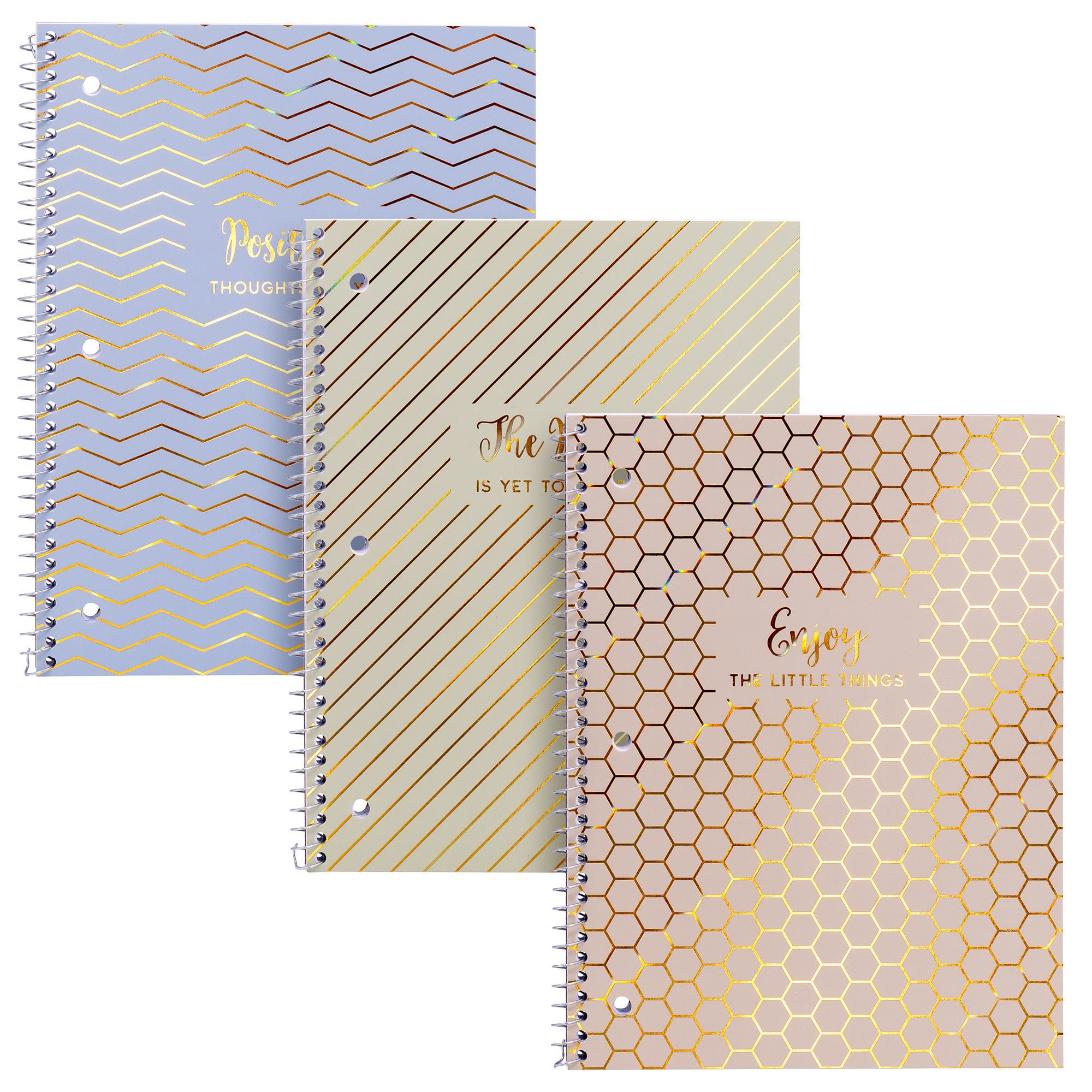 Pukka Pads Haze 1-Subject Notebooks, 4 Packs of 3