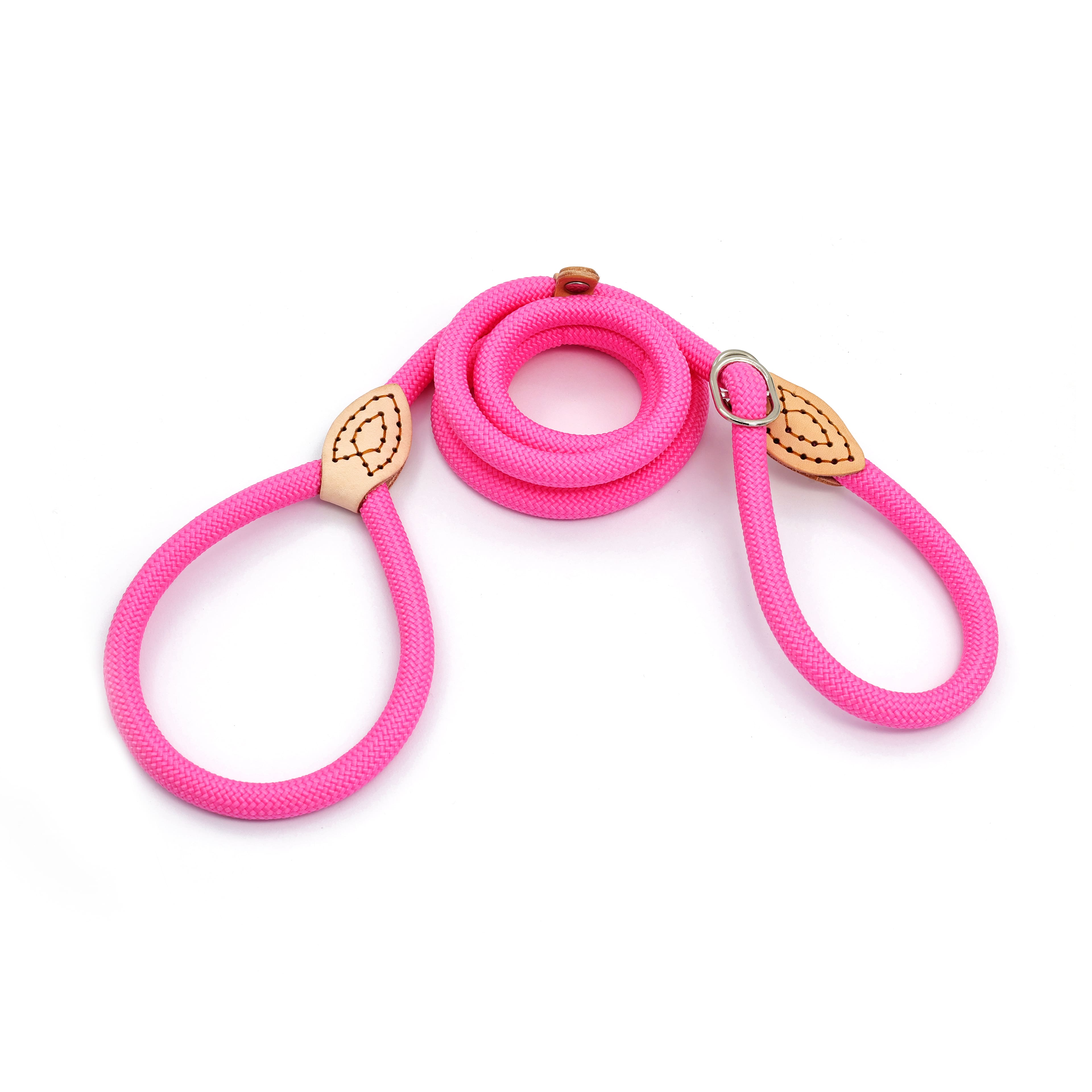Assorted 5ft. Pet Leash, 1pc. by Fab Finds