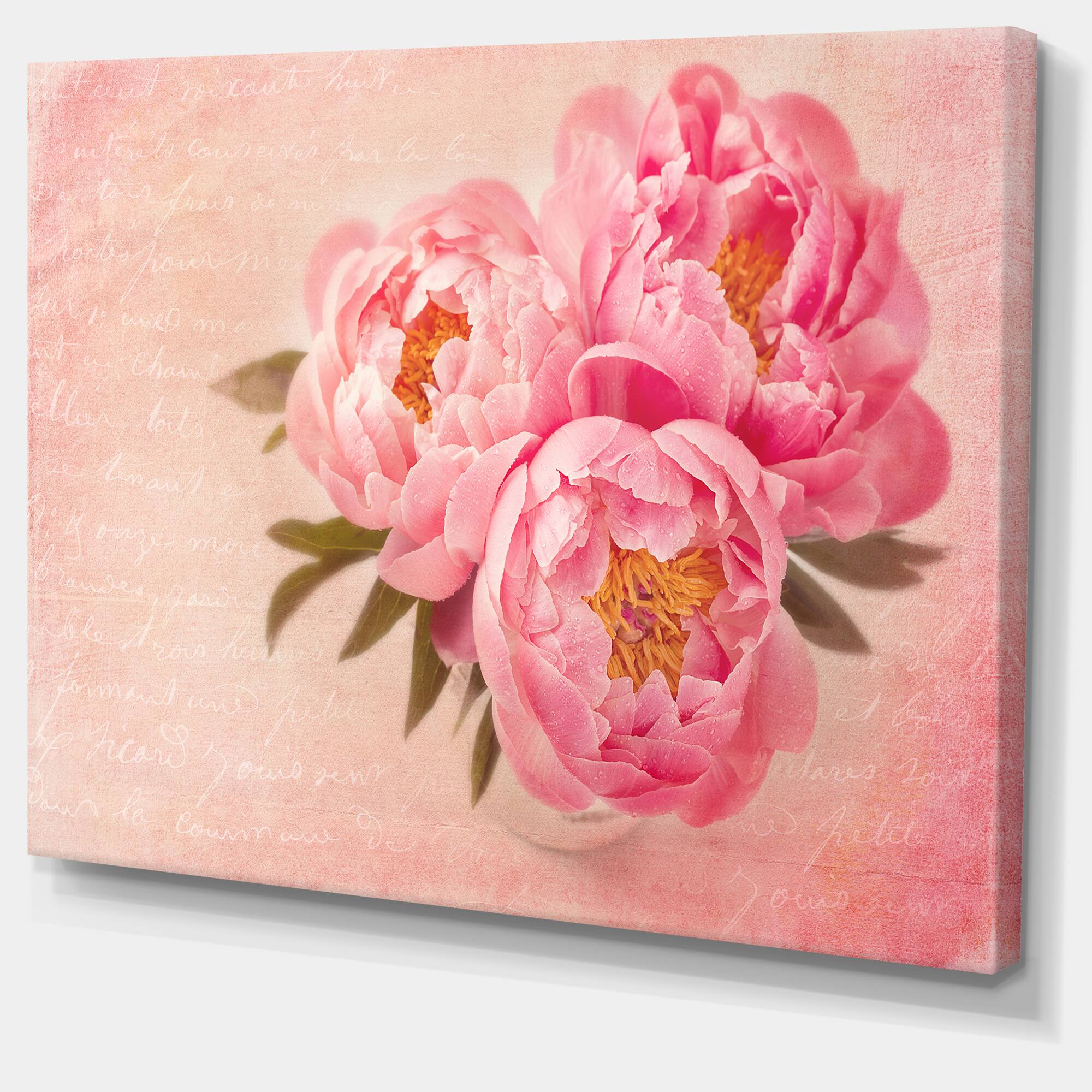 Designart - Peony Flowers against Scribbled Back