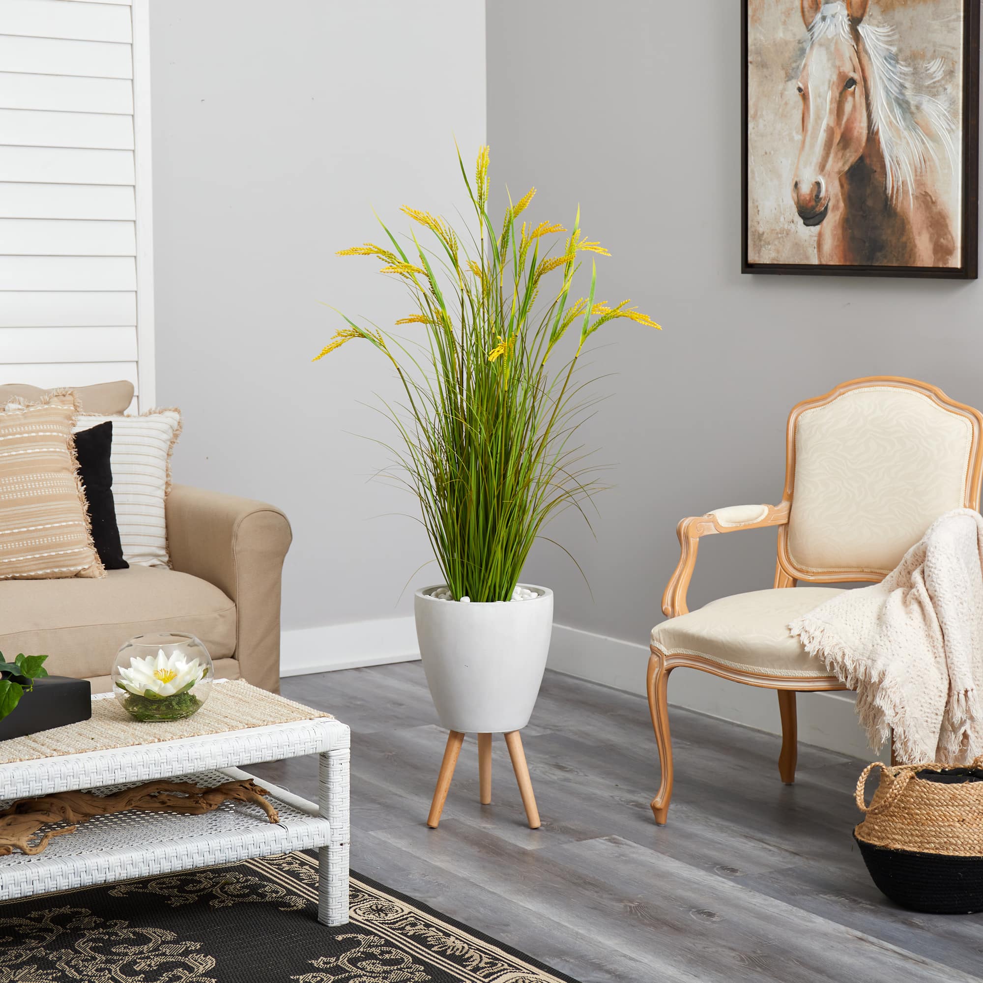 5ft. Wheat Grain Plant in Decorative White Planter