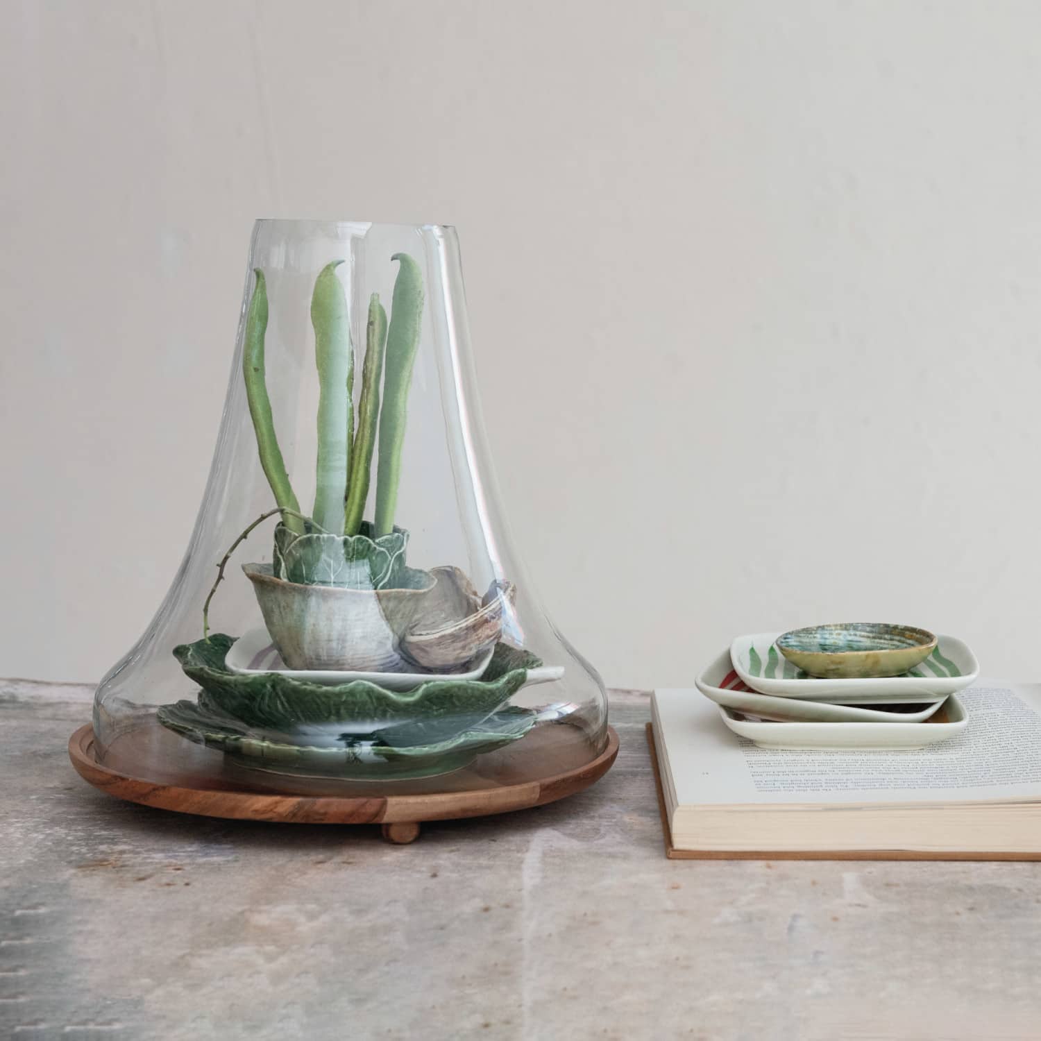 Hello Honey® 13" Reclaimed Glass Cloche with Mango Wood Base