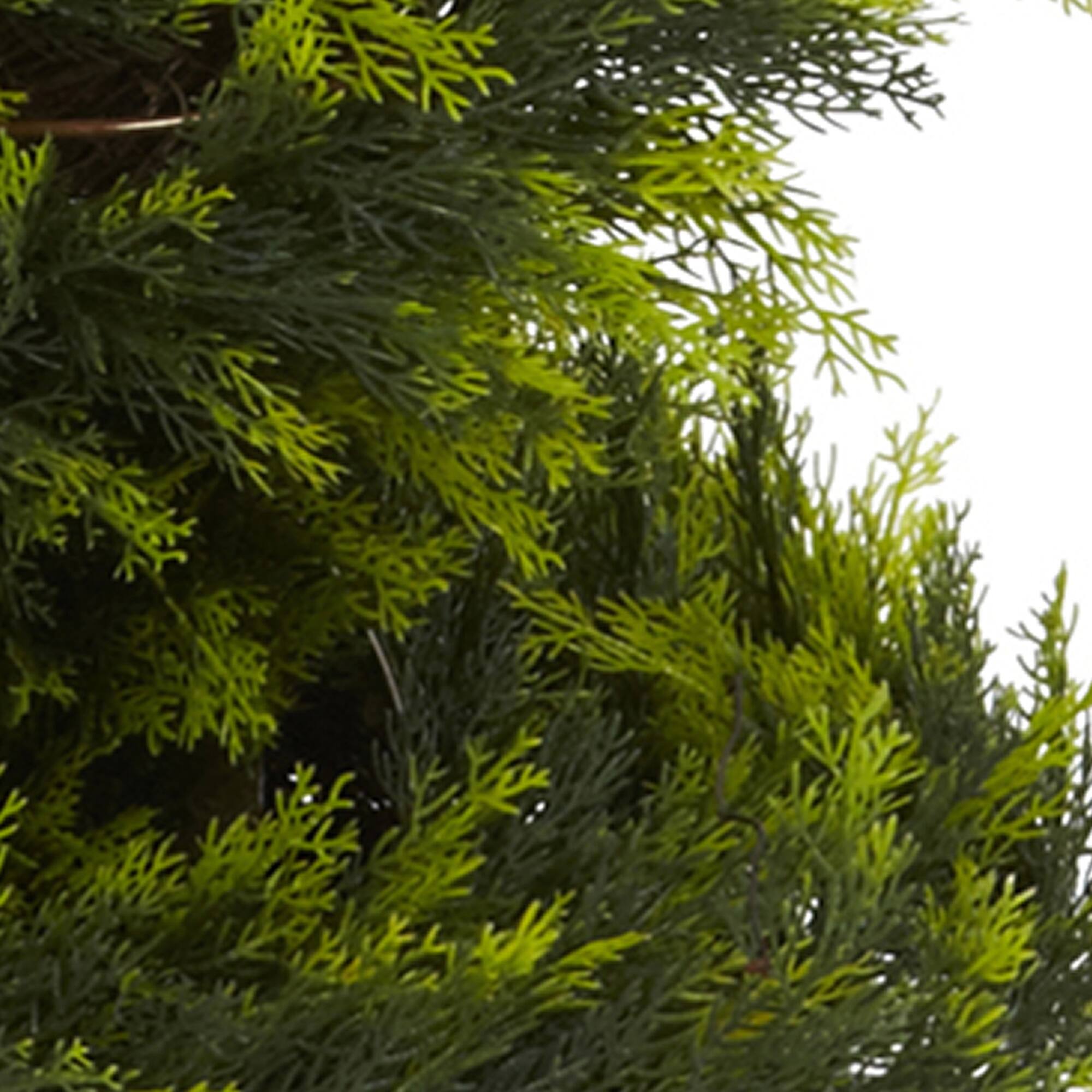 5ft. Potted Cypress Spiral Tree