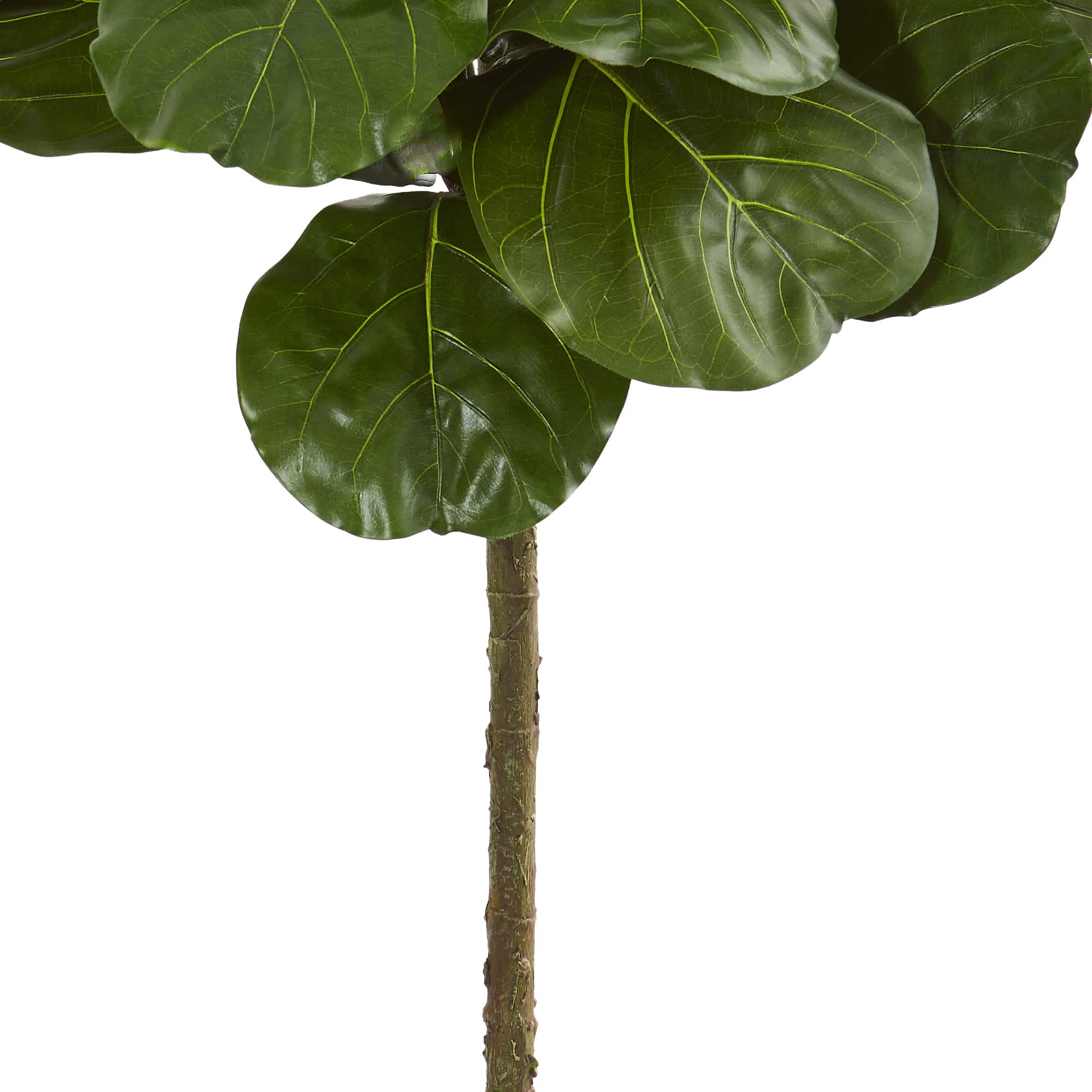 6.5ft. Fiddle Leaf Artificial Tree with Decorative Planter