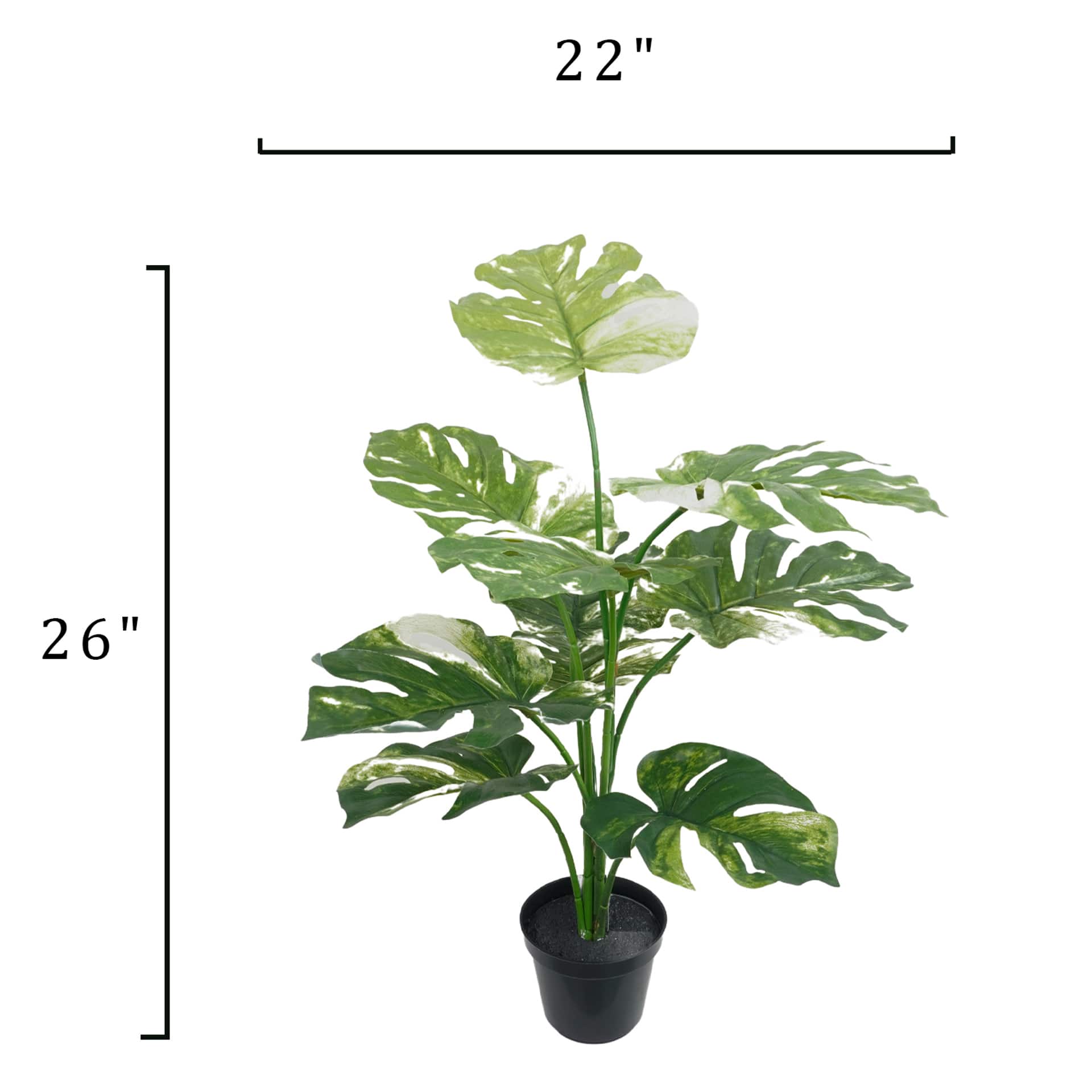26" Premade Potted Monstera Plant by Ashland®