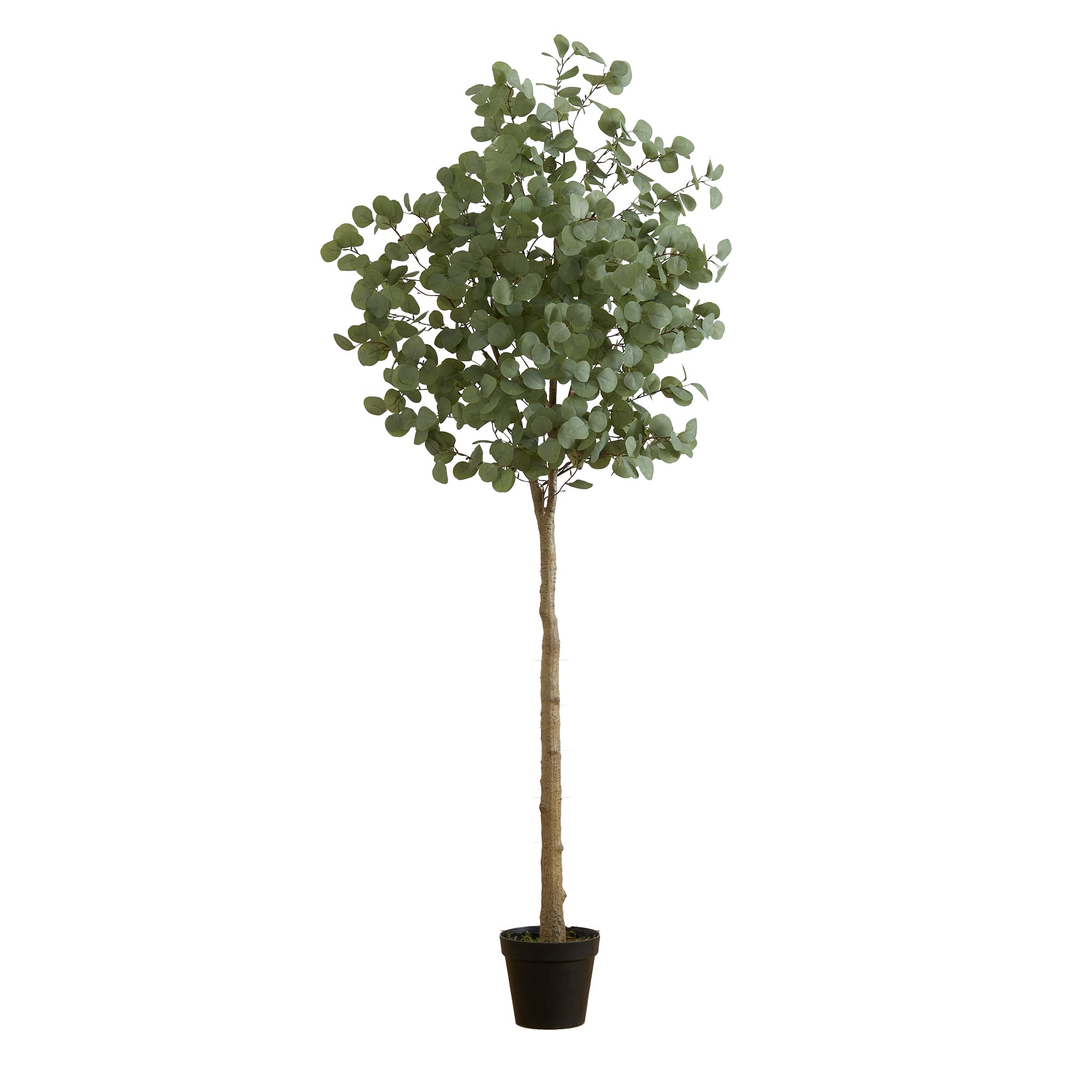 7ft. Potted Artificial Eucalyptus Tree