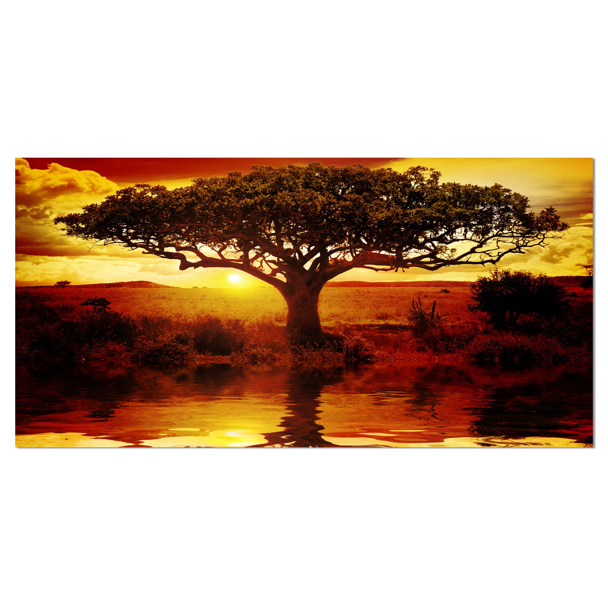 Designart - Lonely Tree in African Sunset - Oversized African Landscape Canvas Art