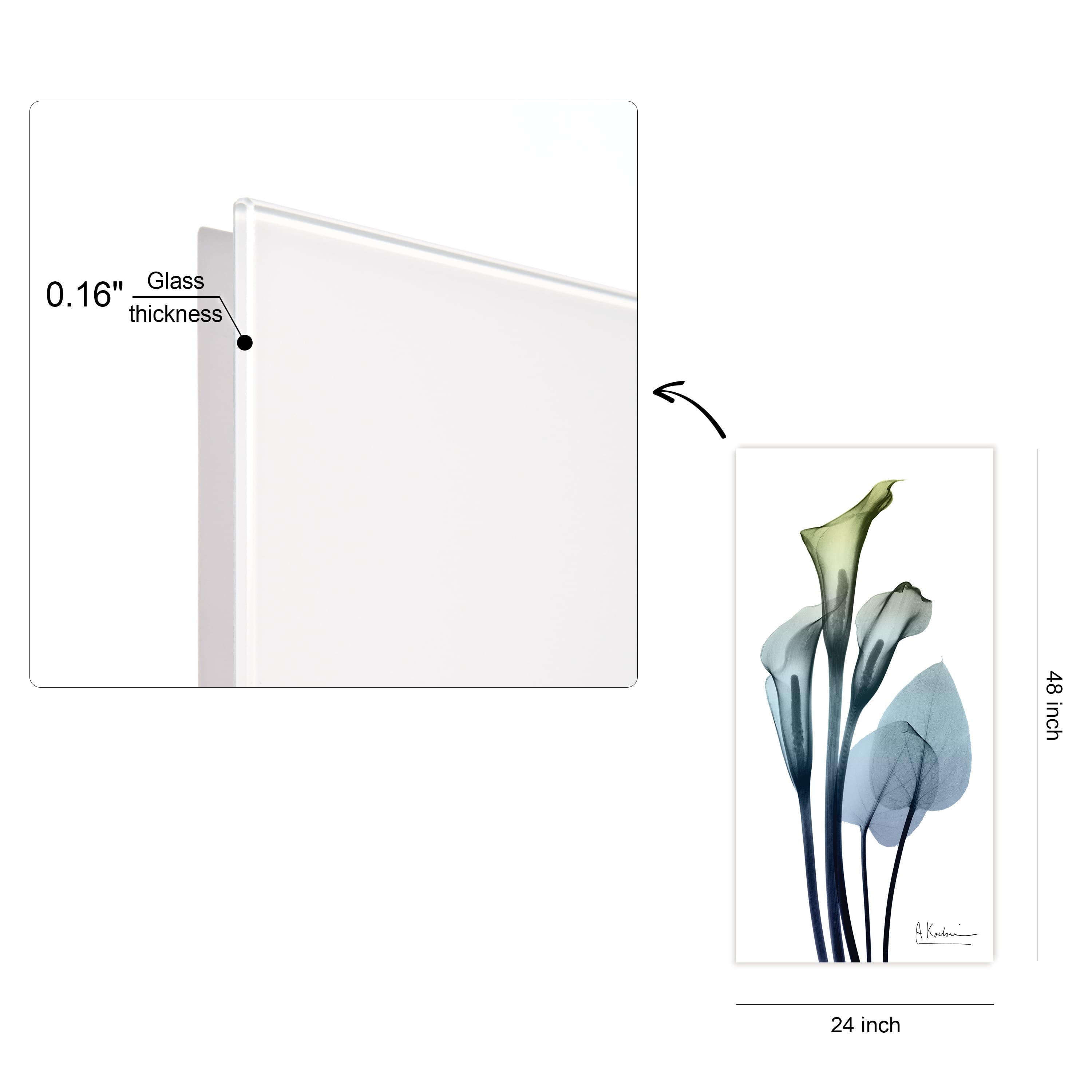 Empire Art Direct 24" x 48" Calla Lily Free Floating Tempered Glass Wall Art