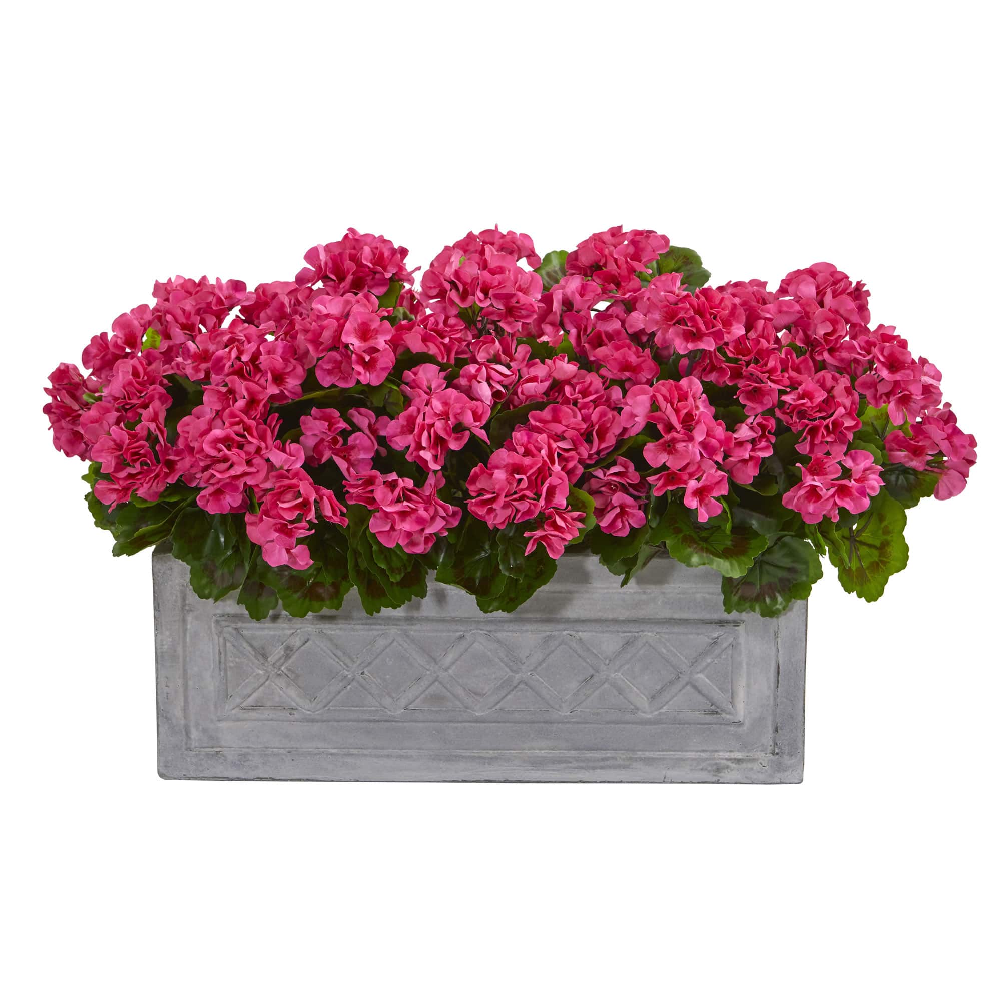 18” Beauty Geranium in Stone Planter