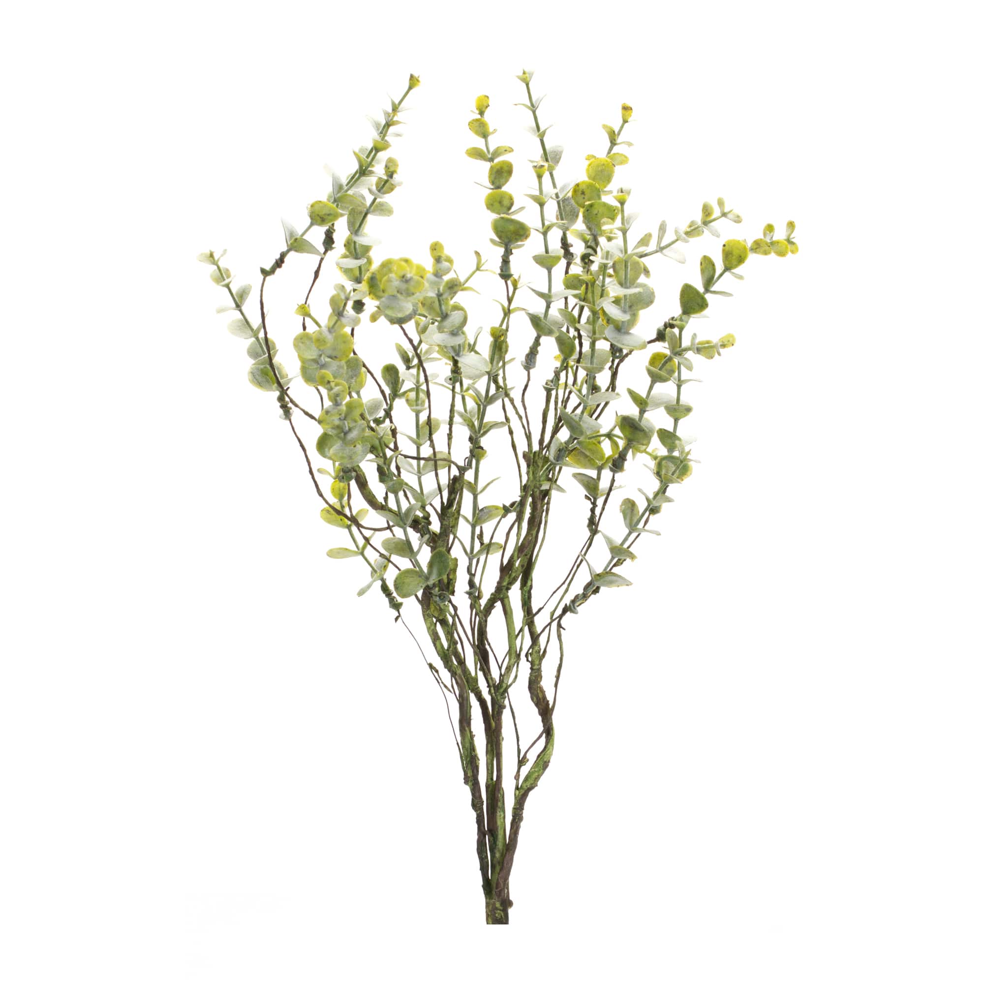18" Boxwood Twig Foliage Sprays, 6ct.