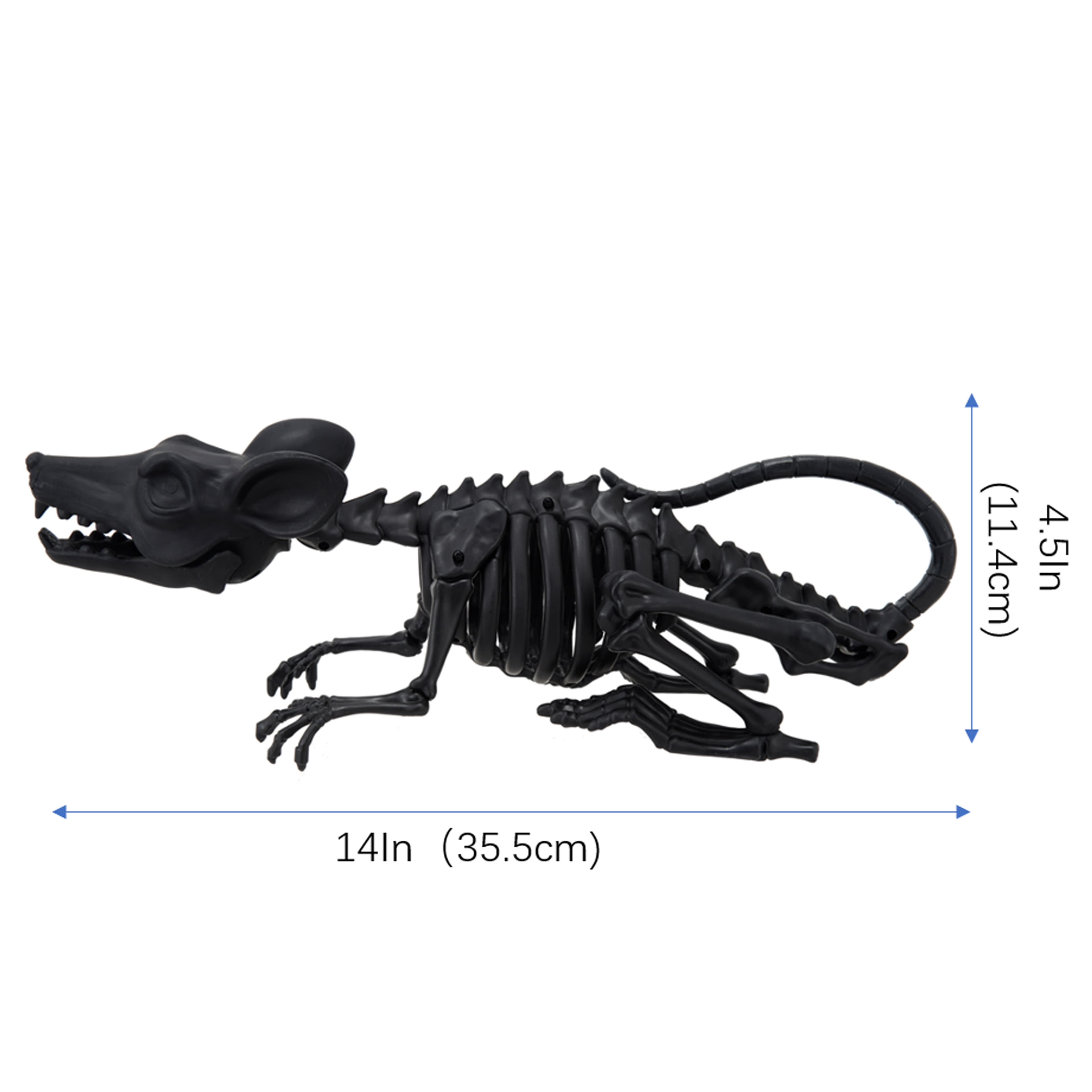 14" Mouse Skeleton by Ashland®