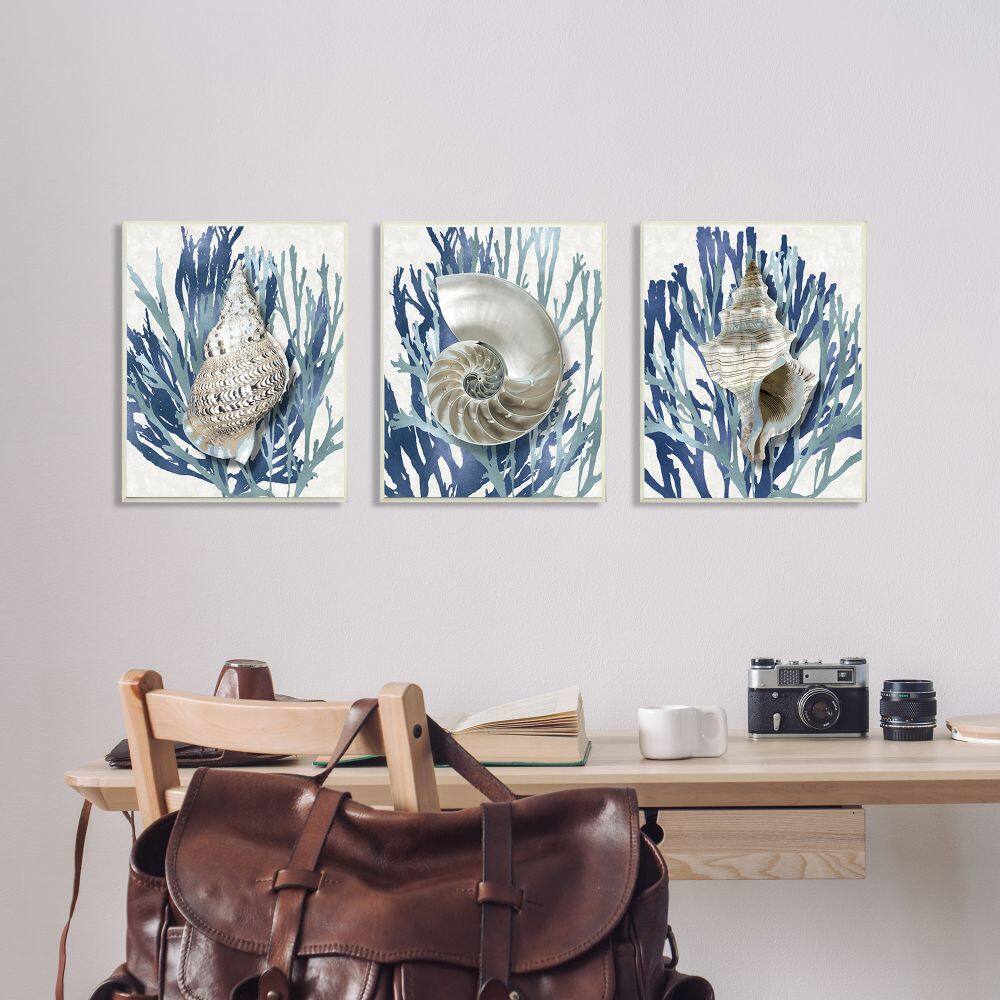 Stupell Industries Trio of Shell Coral Blue Beach Design in Black Frame Wall Art