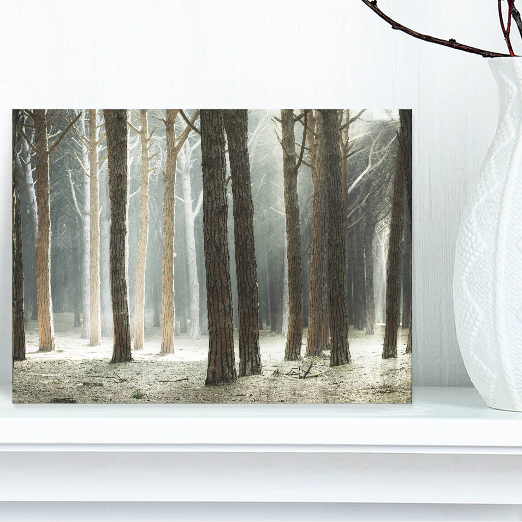 Designart - Maritime Pine Tree Forest with Rays