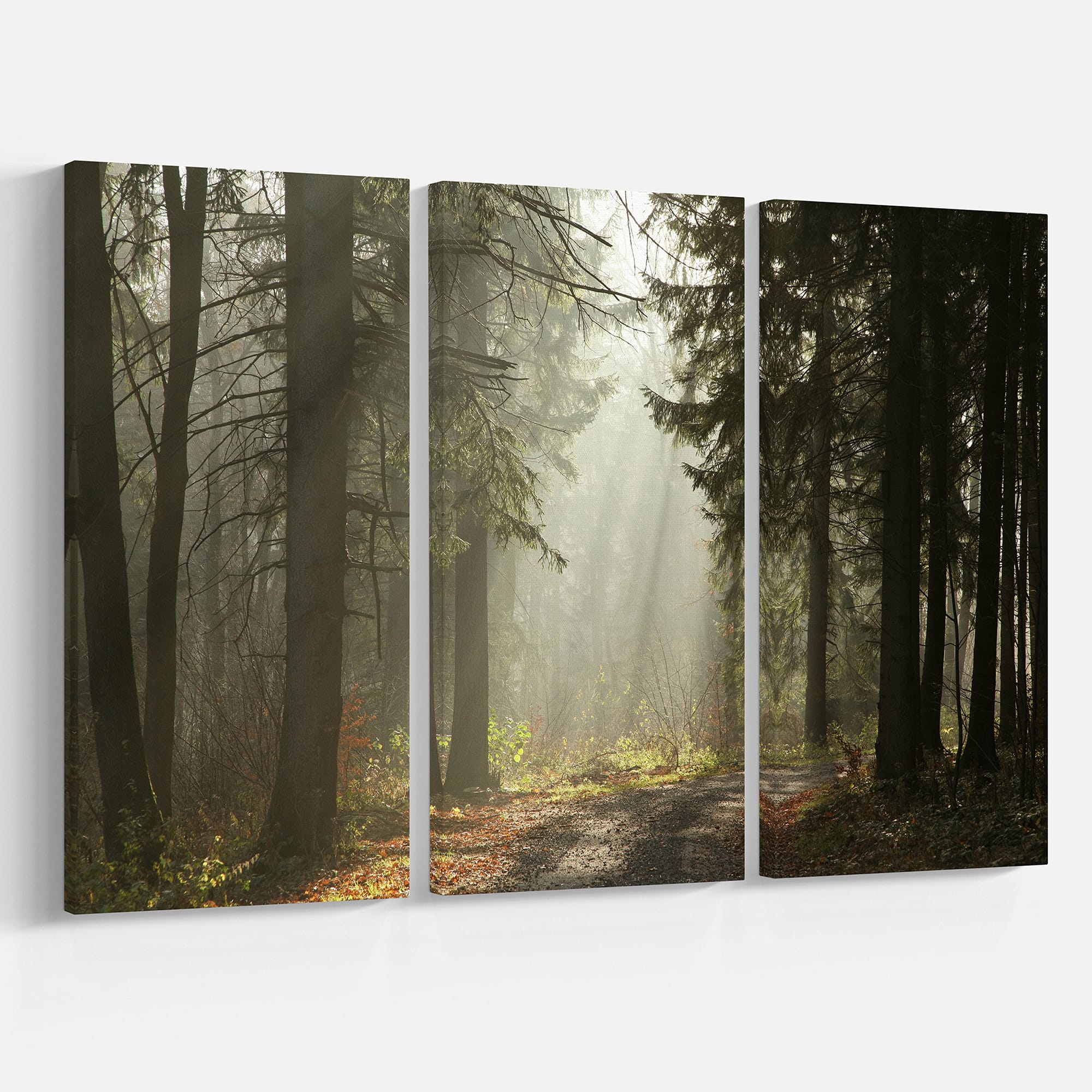 Designart - Dark Green Forest with Sun Rays - Landscape Photography Canvas Print