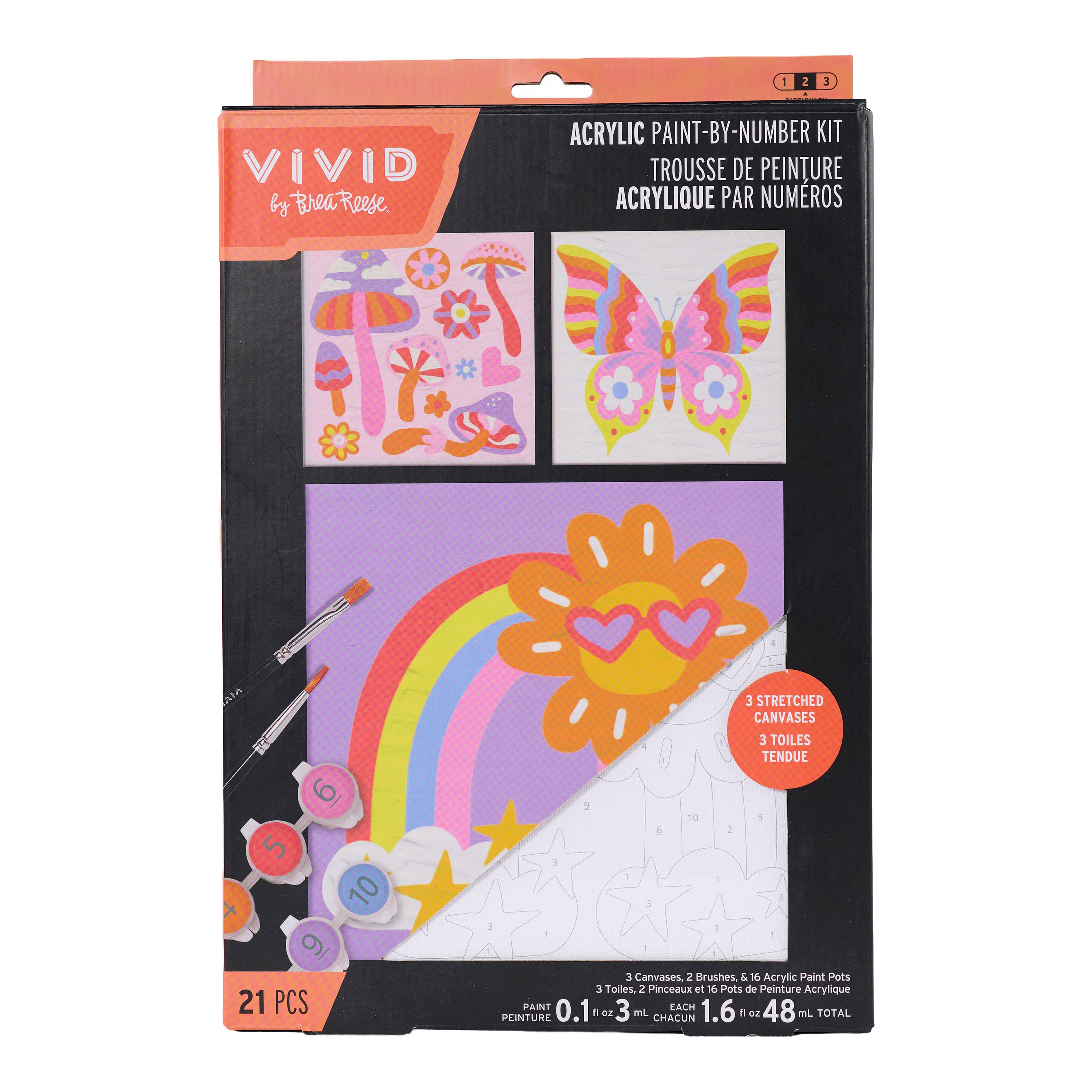 Vivid by Brea Reese® Rainbows & Butterflies Acrylic Paint-by-Number Kit