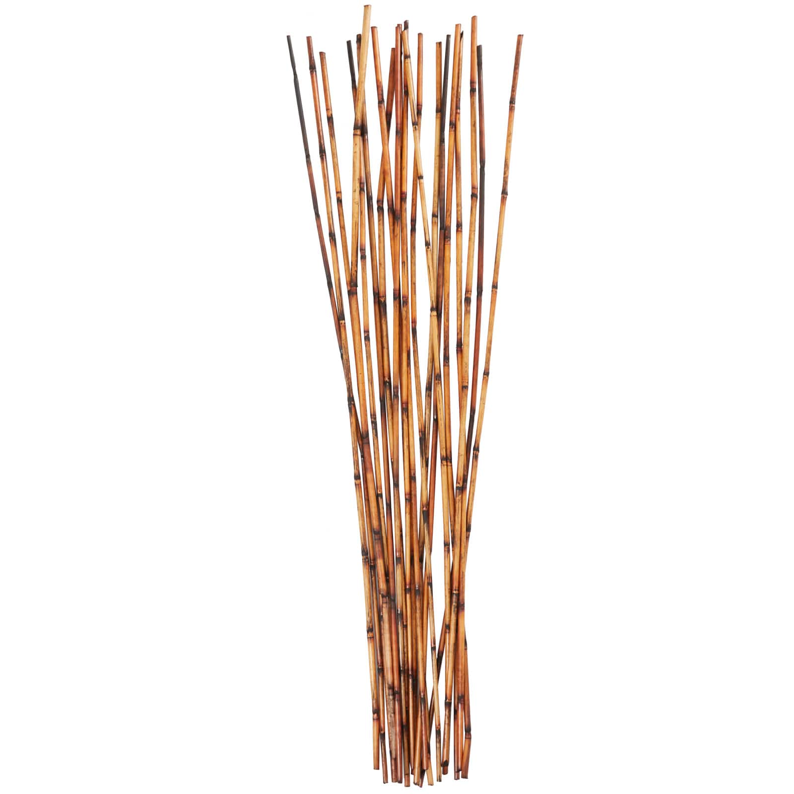 41" Brown Bamboo Sticks Natural Foliage
