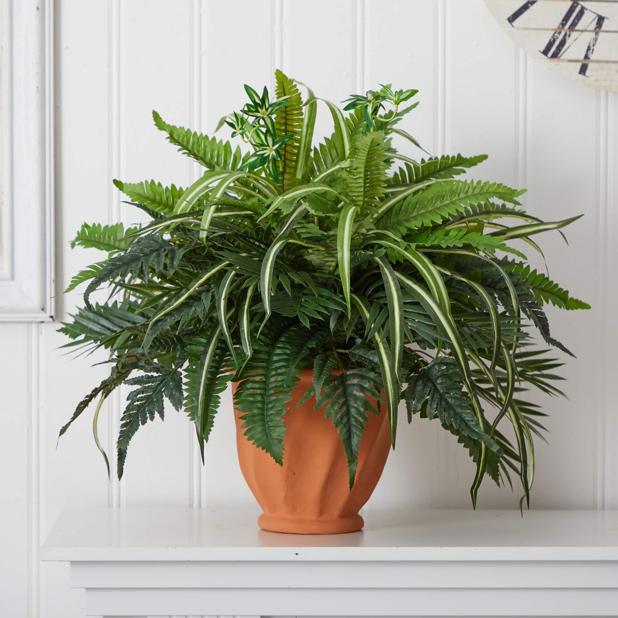 23" Mixed Leaf & Fern Plant in Terra Cotta Planter