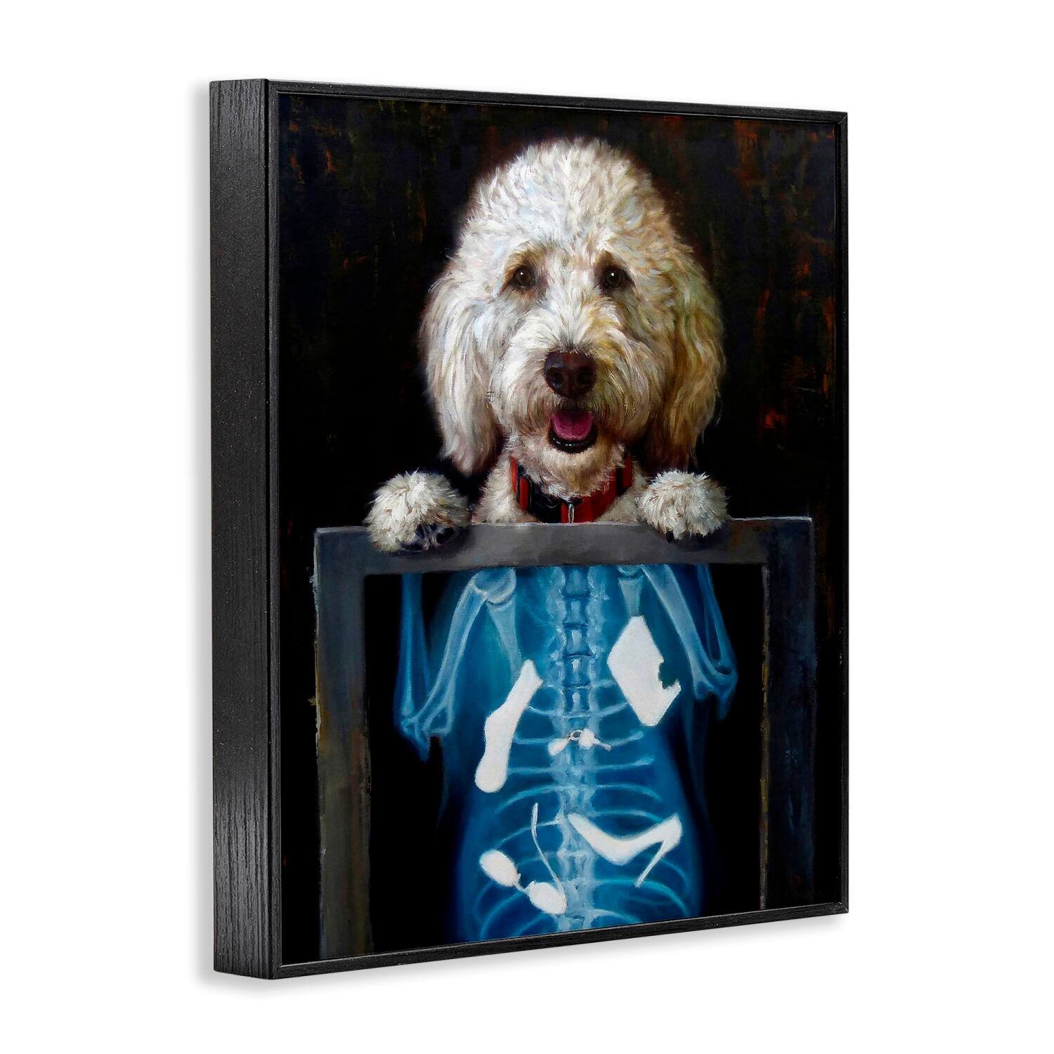 Stupell Industries Funny Dog X-Ray Snacks Framed Giclee Art