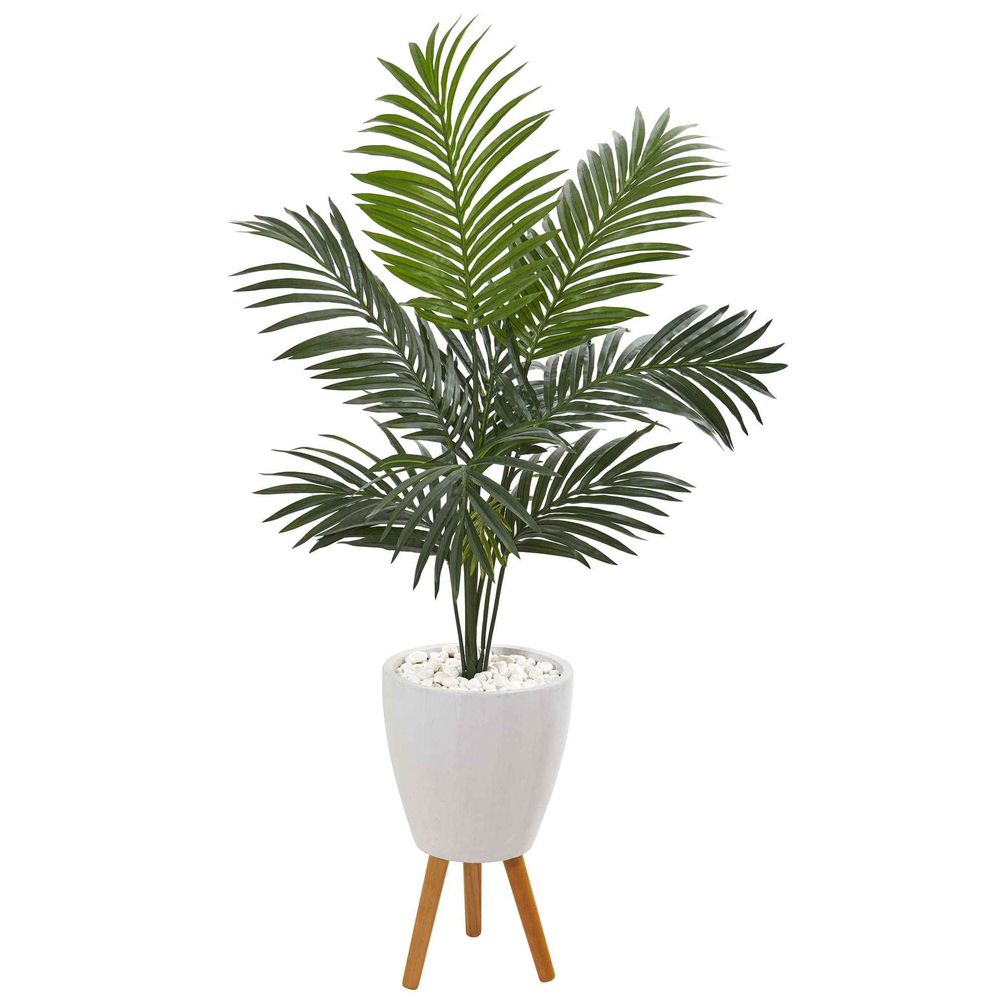 4.5ft. Kentia Palm Tree In White Planter With Legs