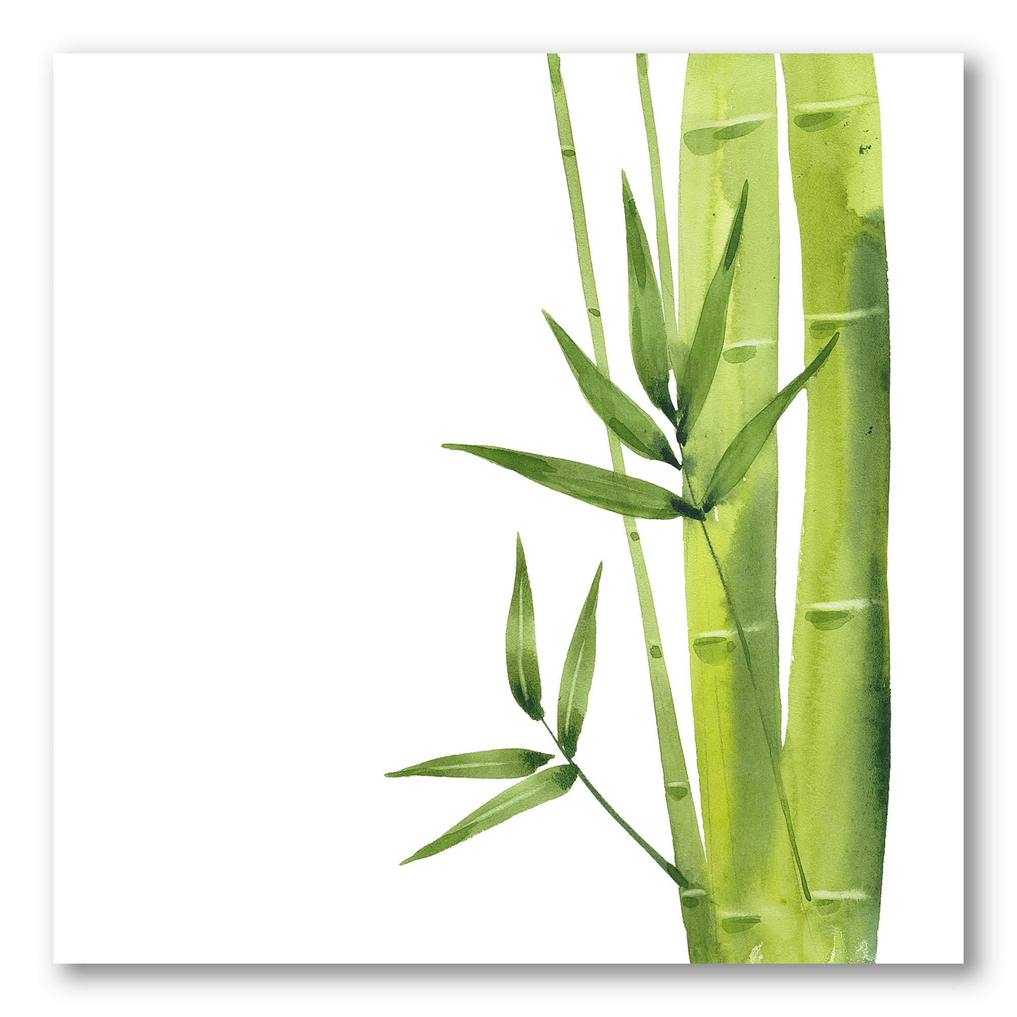 Designart - Bamboo Branches In The Forest V
