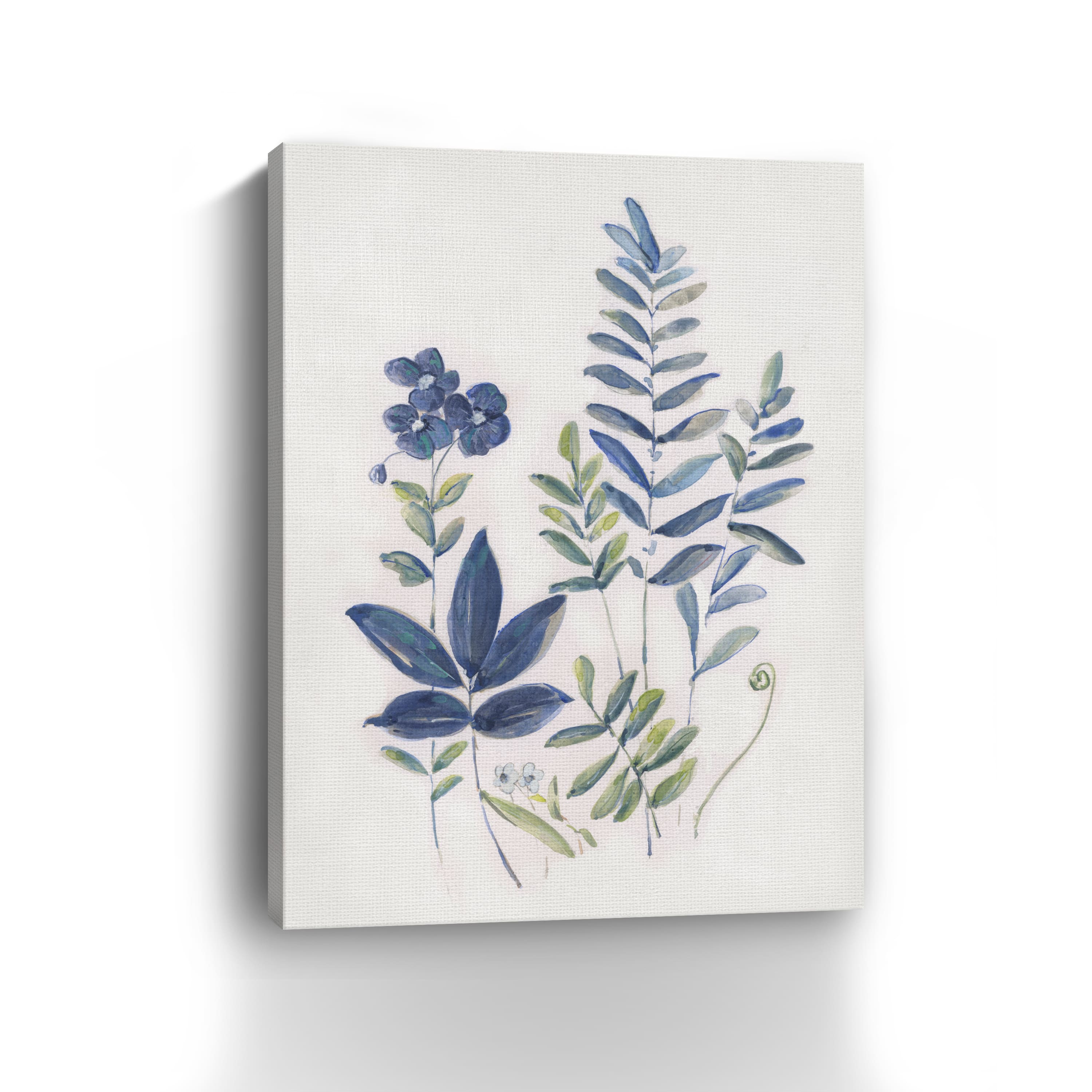 Fern Study I Canvas Giclee