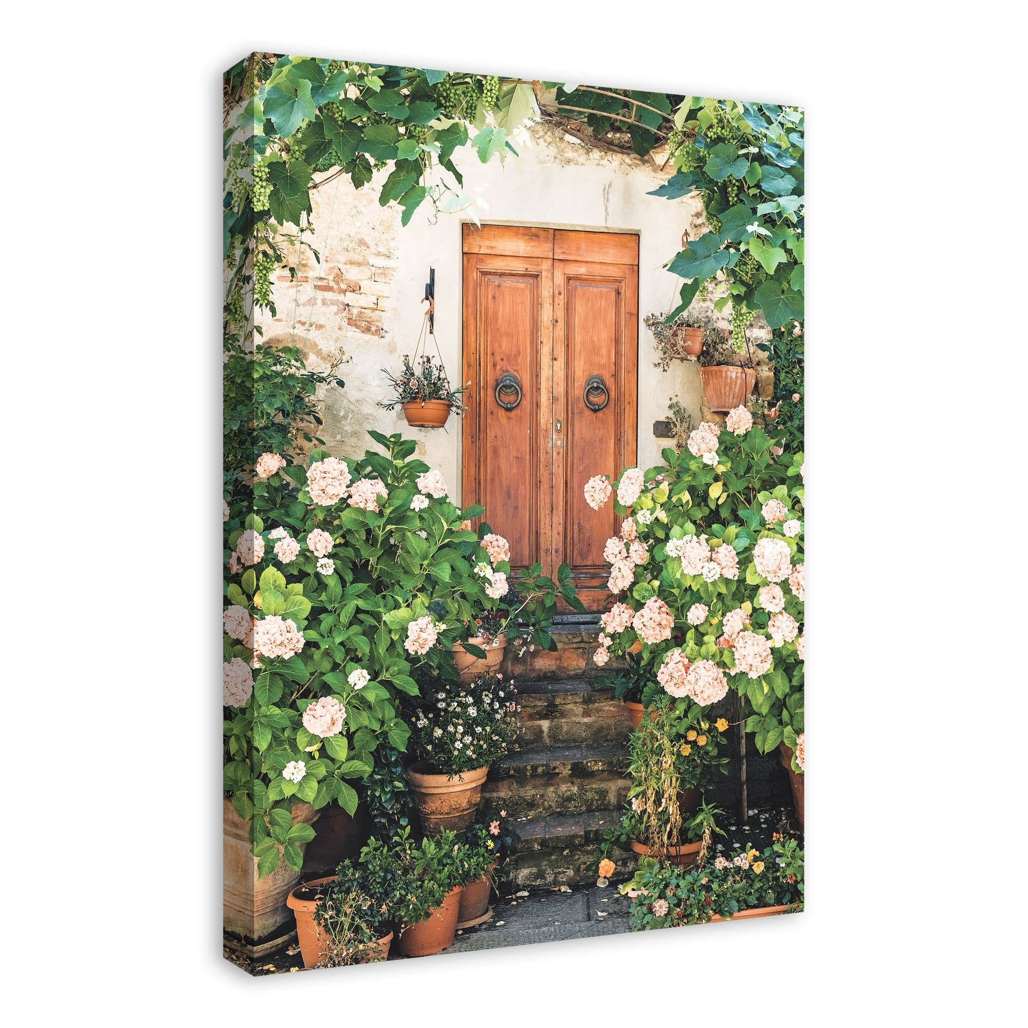 Wooden Door Hydrangeas 20" x 30" Canvas Wall Art