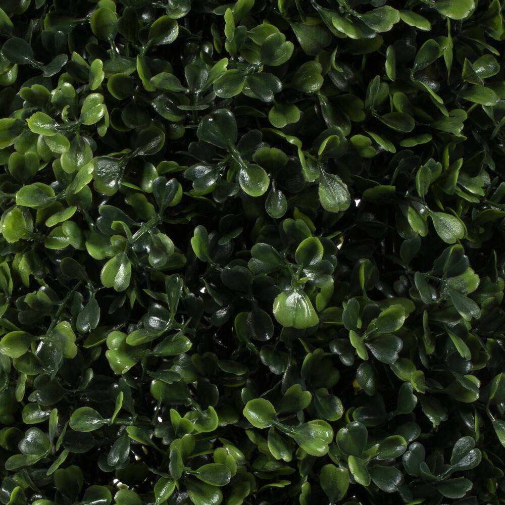 6ft. Potted Boxwood Cone Tree