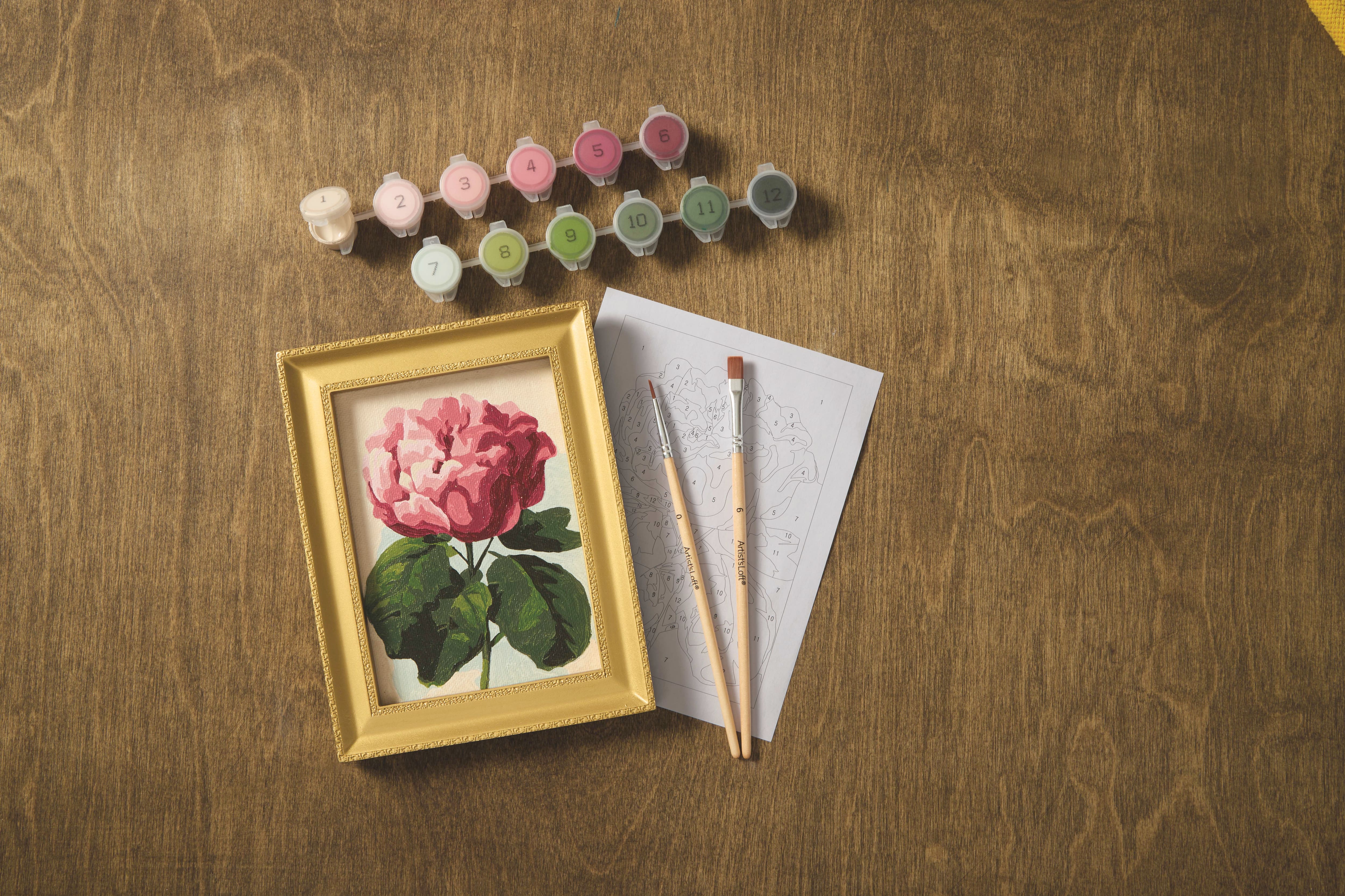 Pink Peony Paint-by-Number Framed Mini Kit by Artist's Loft®