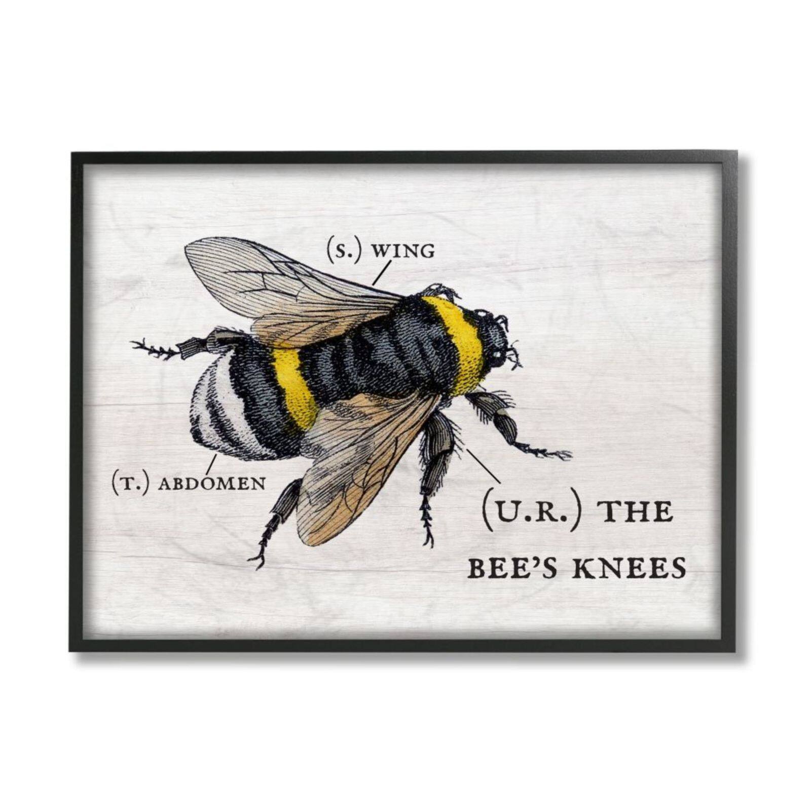 Stupell Industries Anatomy of Honey Bee Pun Black Framed Wall Art