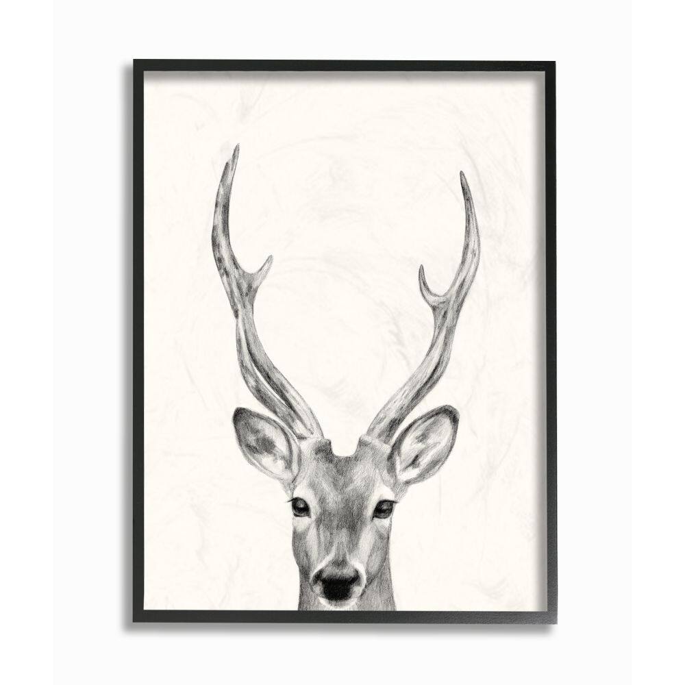 Stupell Industries Deer Portrait Grey Drawing Design Framed Wall Art