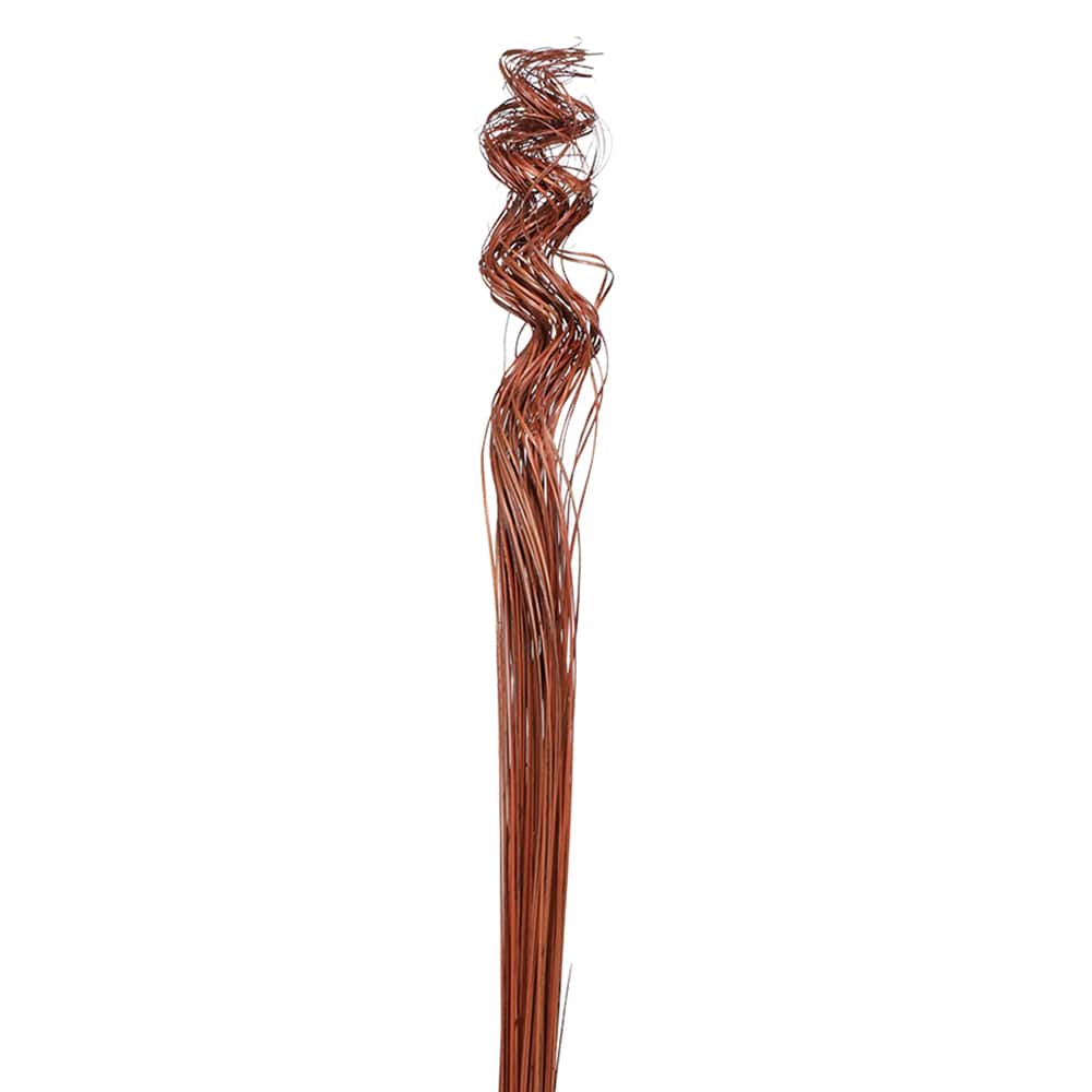 TF Publishing Natural Curly Ting Branch Stems, 35ct.