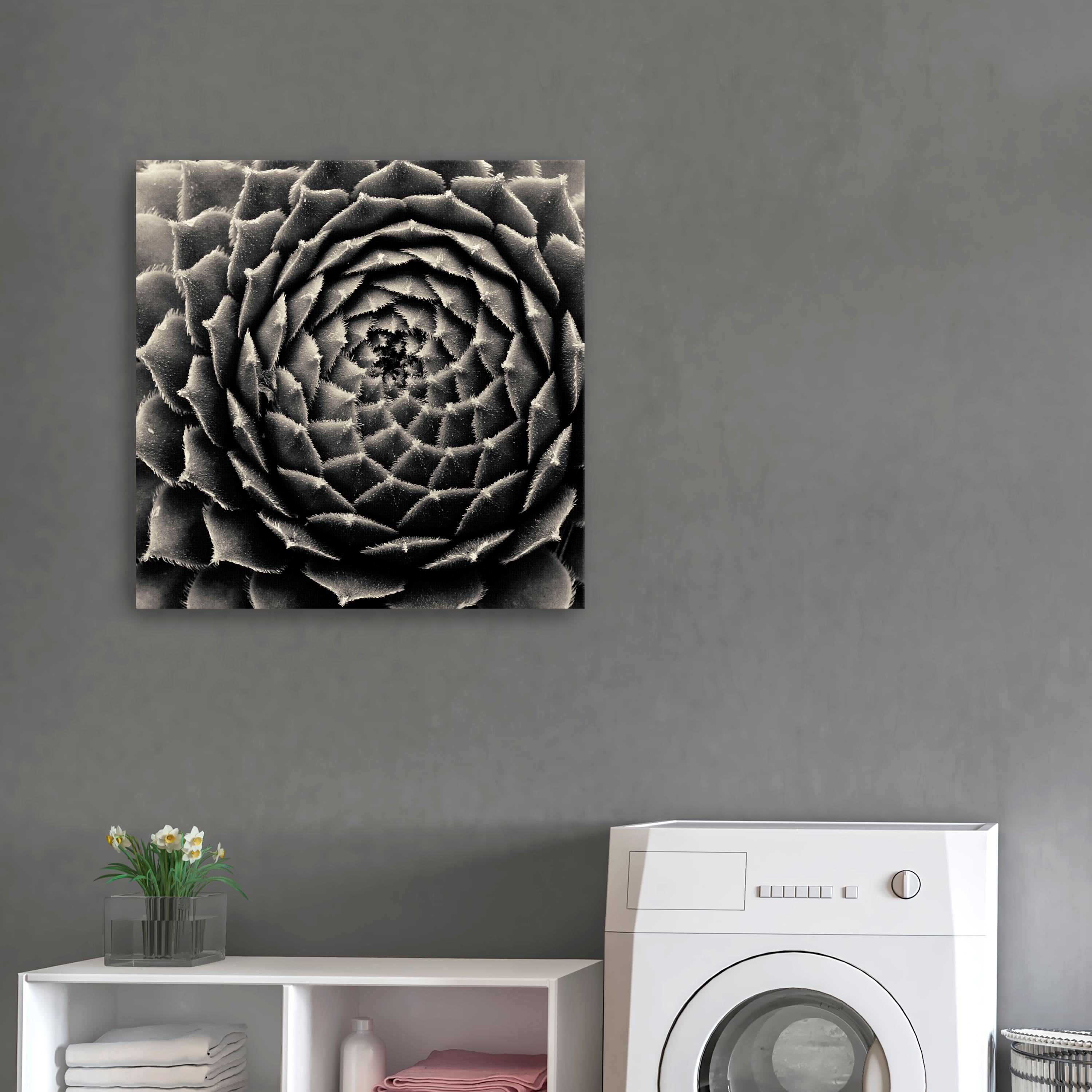Lumaprints Succulent Giclée Canvas