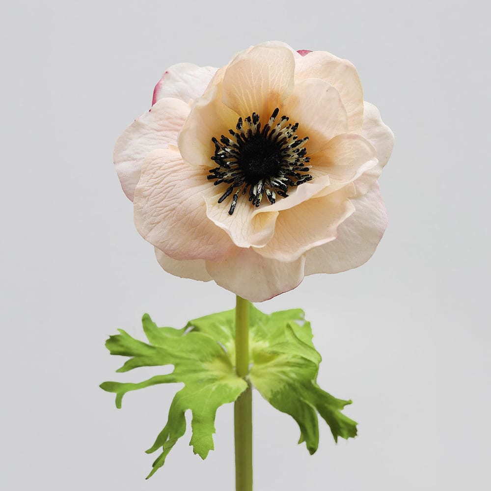 Prestige Botanicals 17.5" Artificial Real Touch Anemone Stem