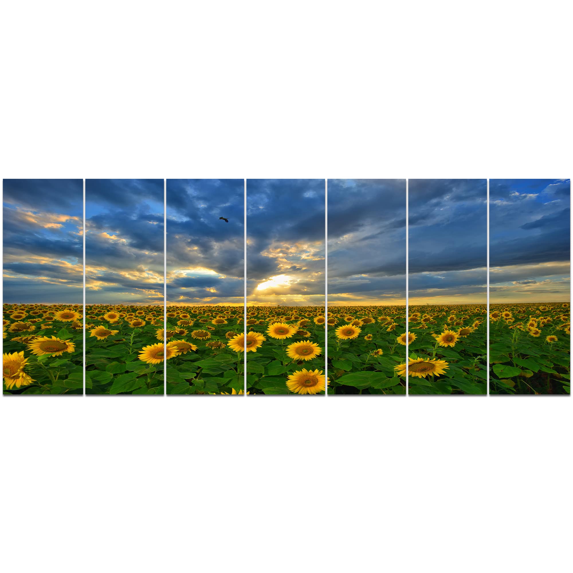 Designart - Beauty Sunset over Sunflowers - Landscape Canvas Art Print