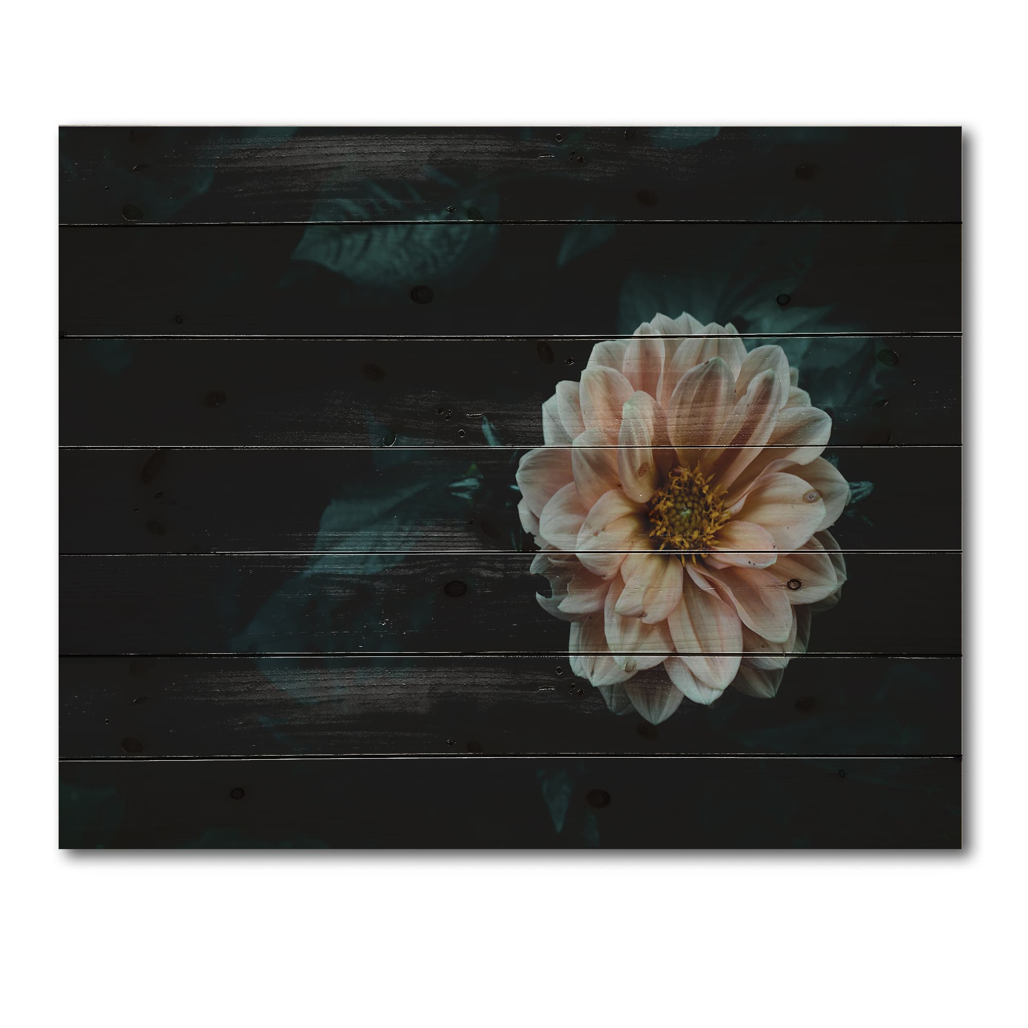 Designart - Blooming Yellow Flower In Evening Garden